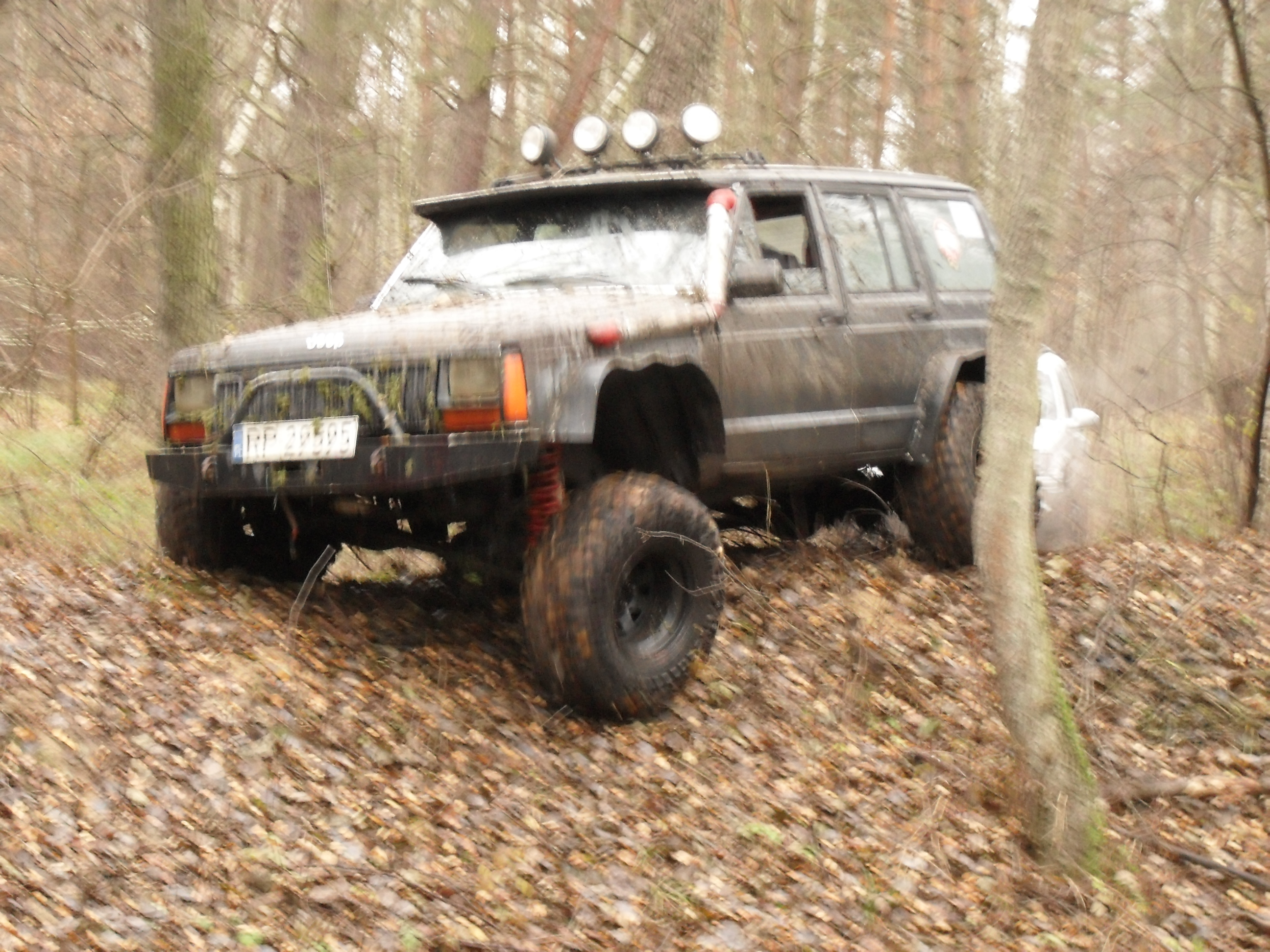 SDC12597.JPG