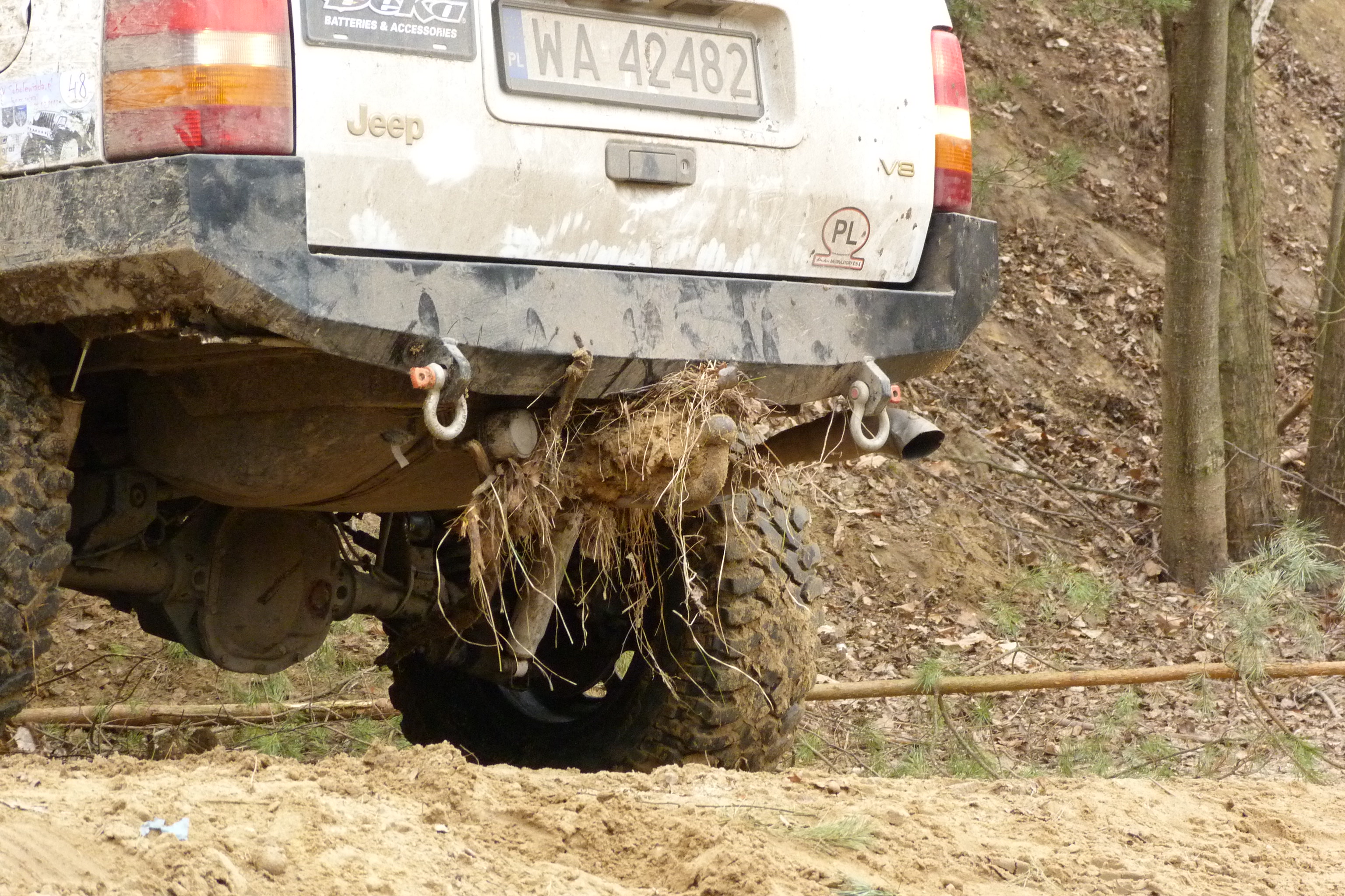 P1000260.JPG
