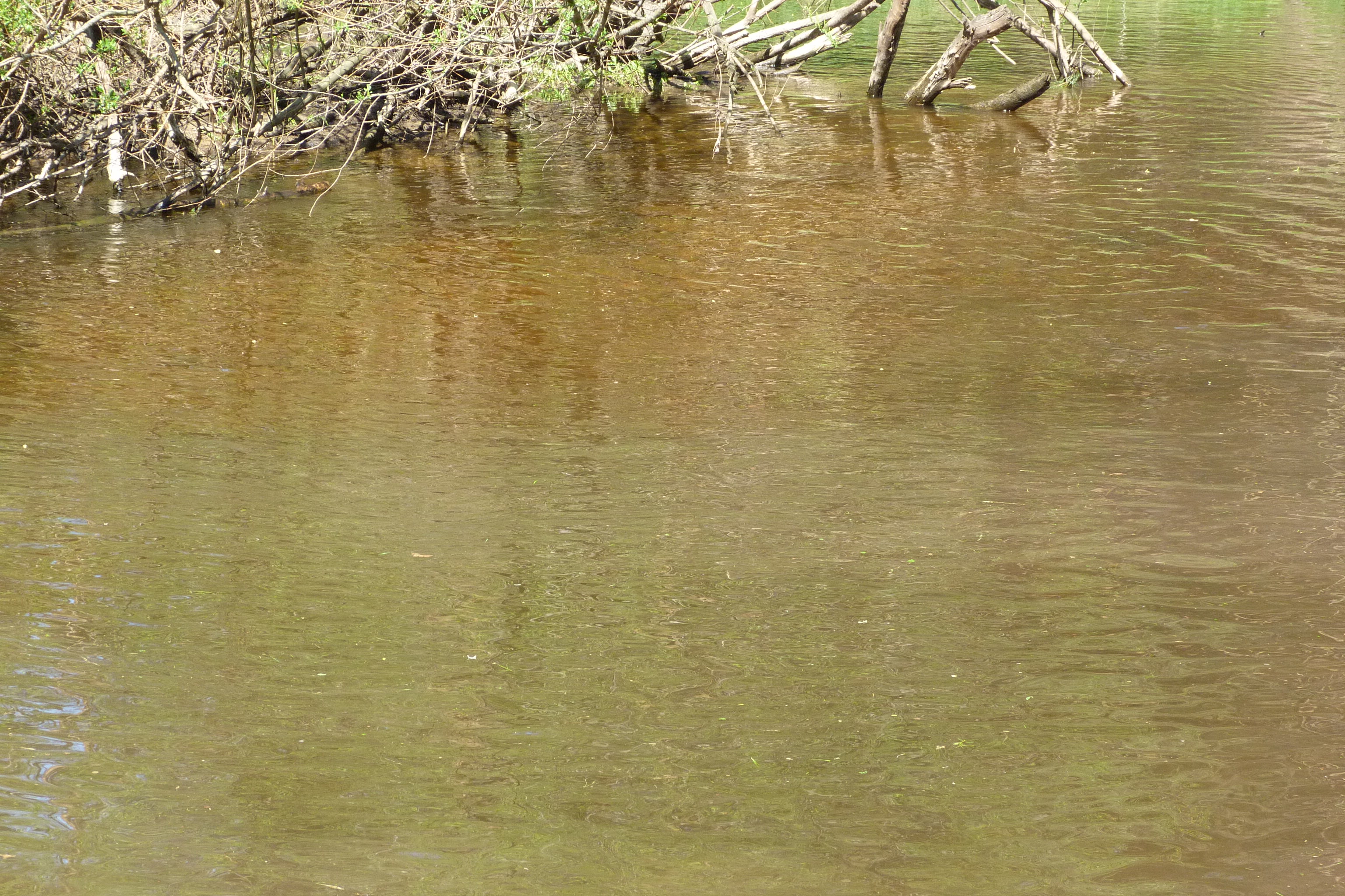 P1000542.JPG