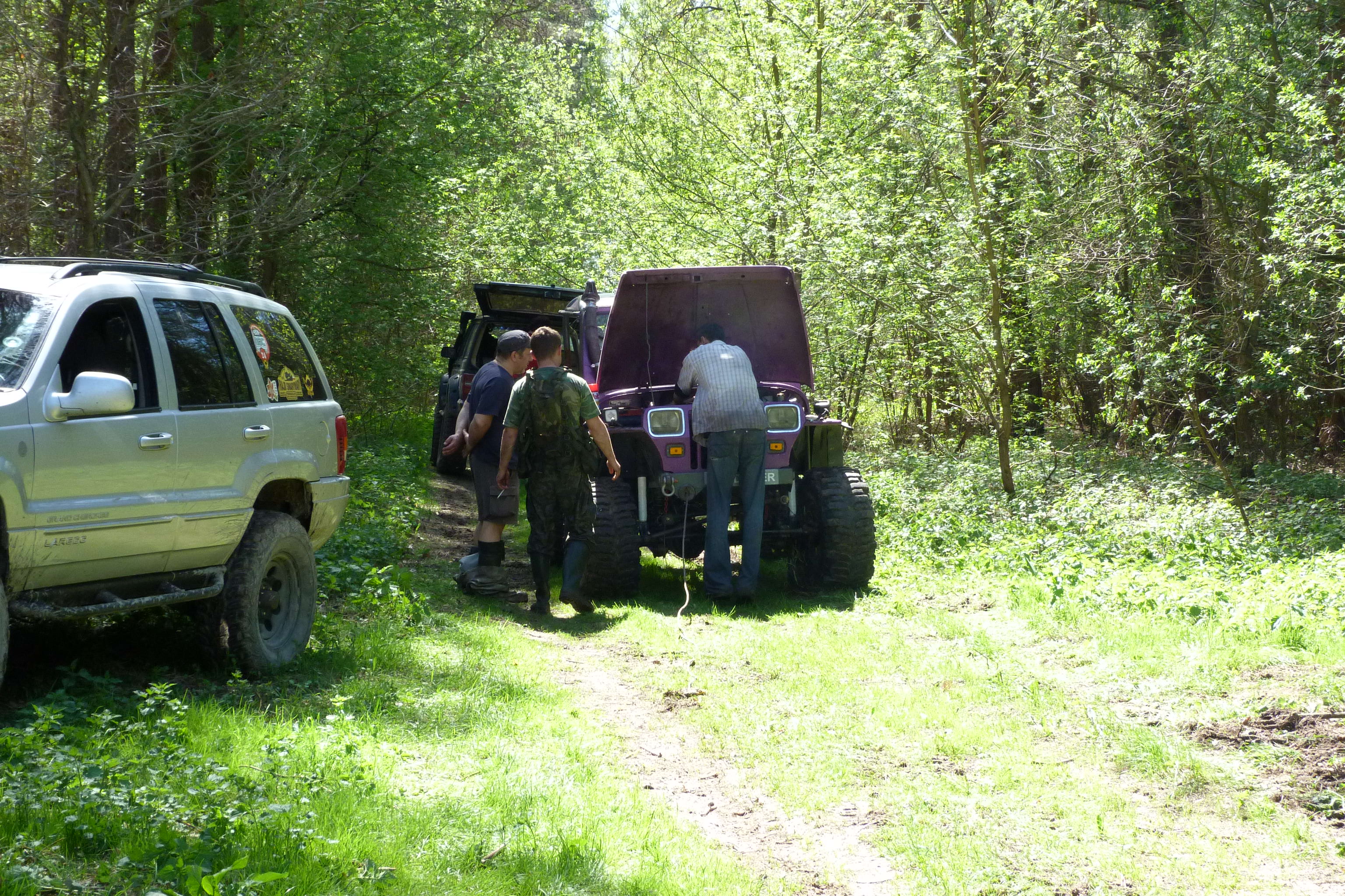 P1000562.JPG