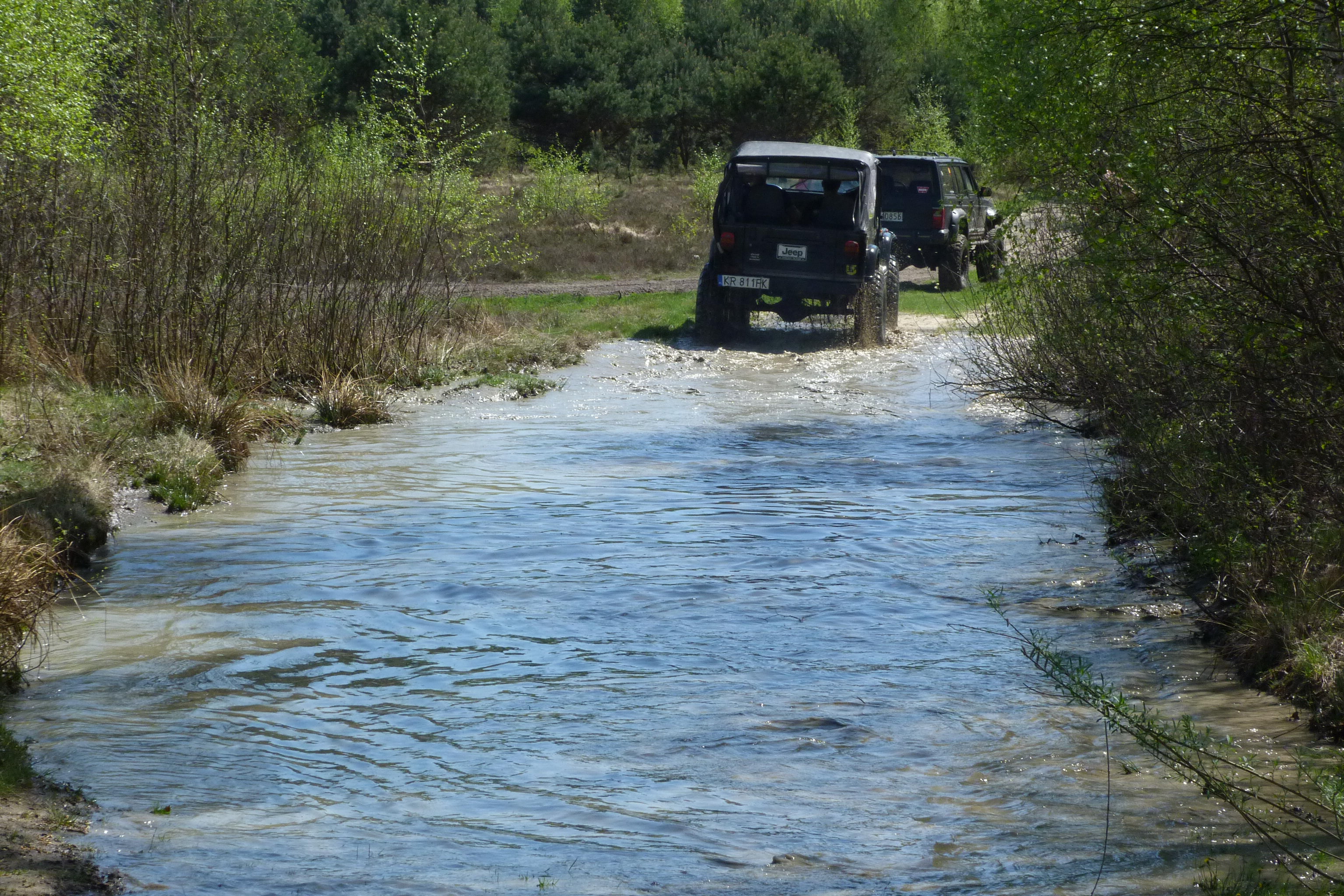P1000566.JPG