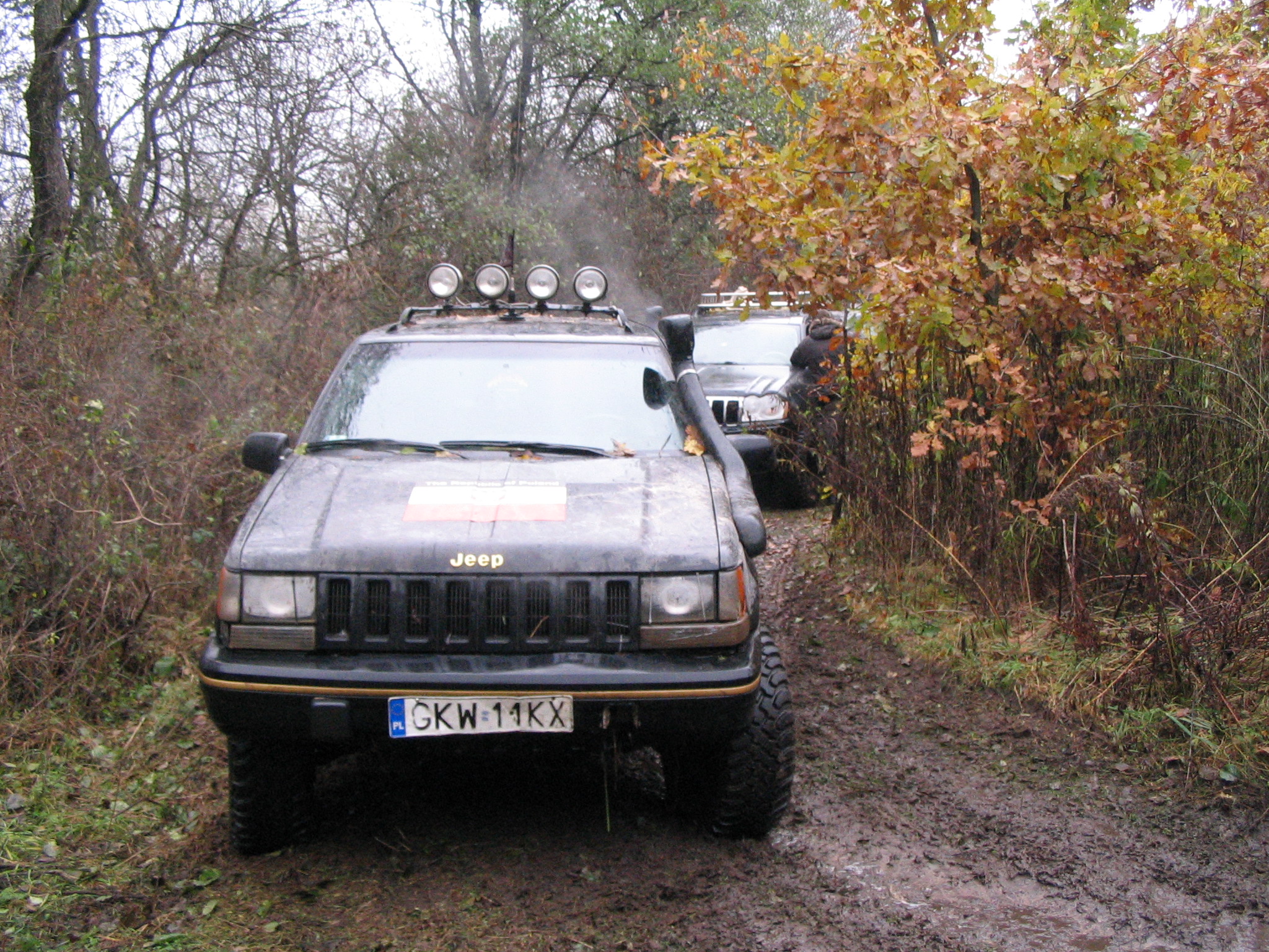 IMG_5568.JPG