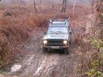 IMG_5748.jpg