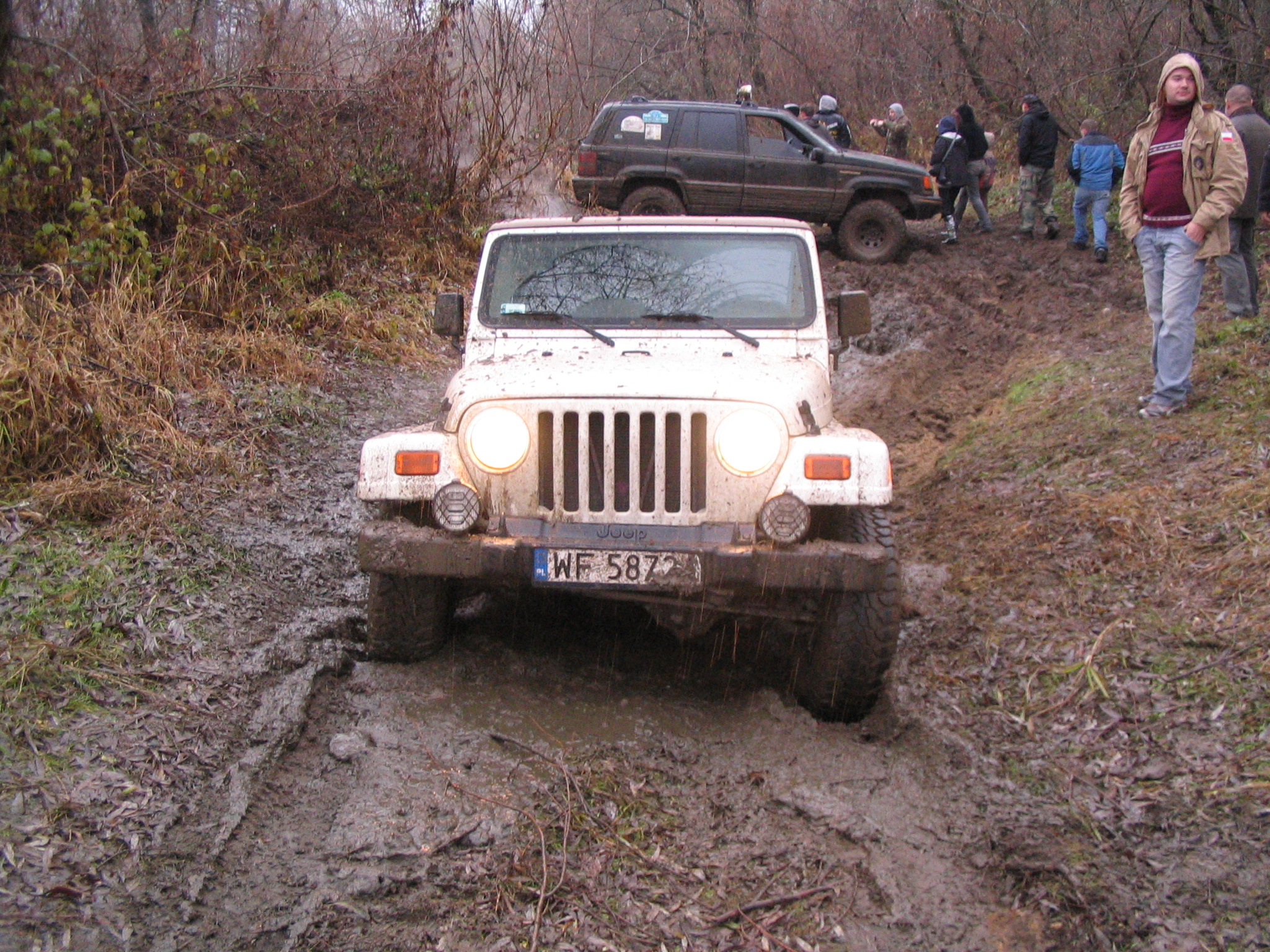 IMG_5786.jpg