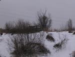 IMG_6039.jpg
