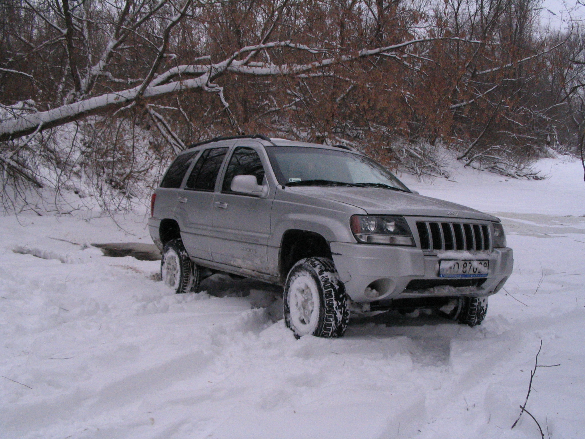 IMG_6071.jpg