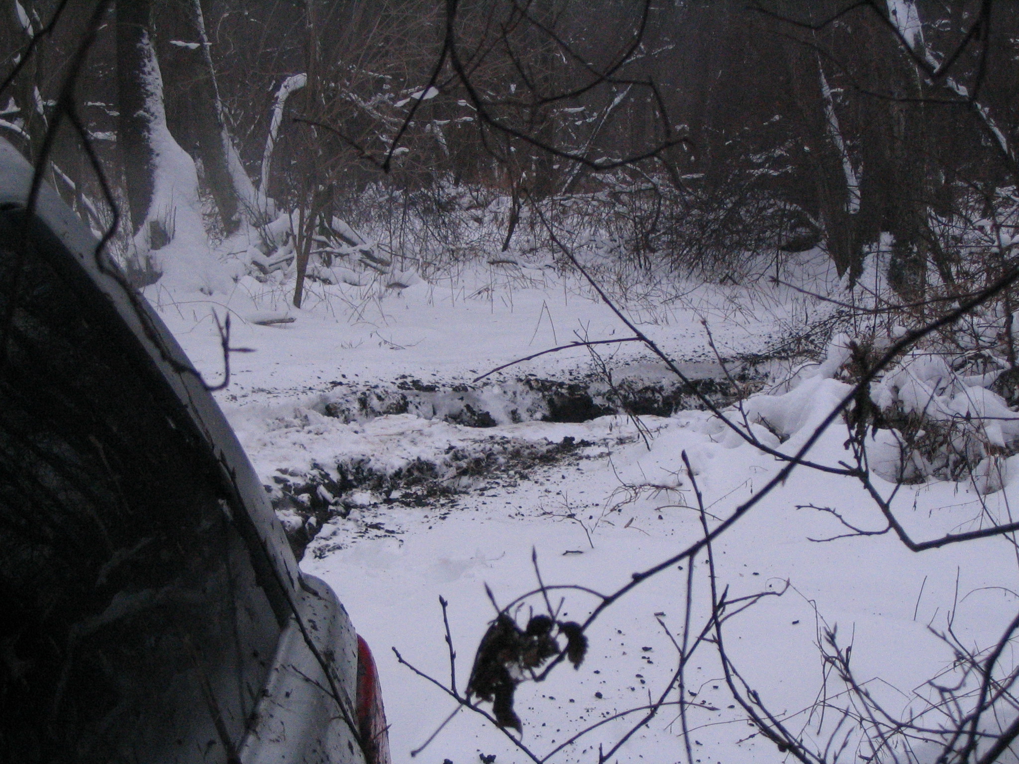 IMG_6145.jpg