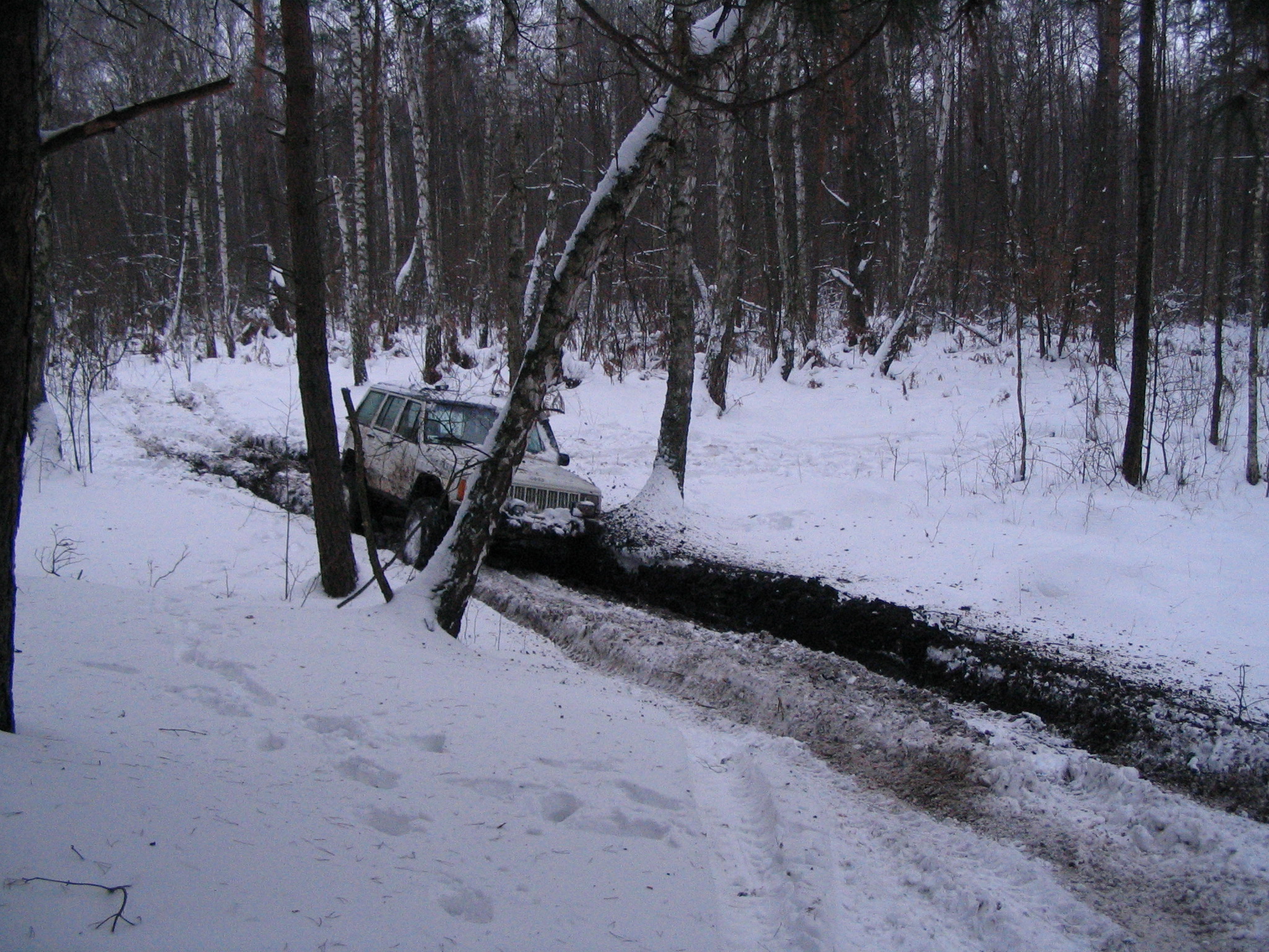 IMG_6170.jpg