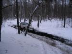 IMG_6170.jpg