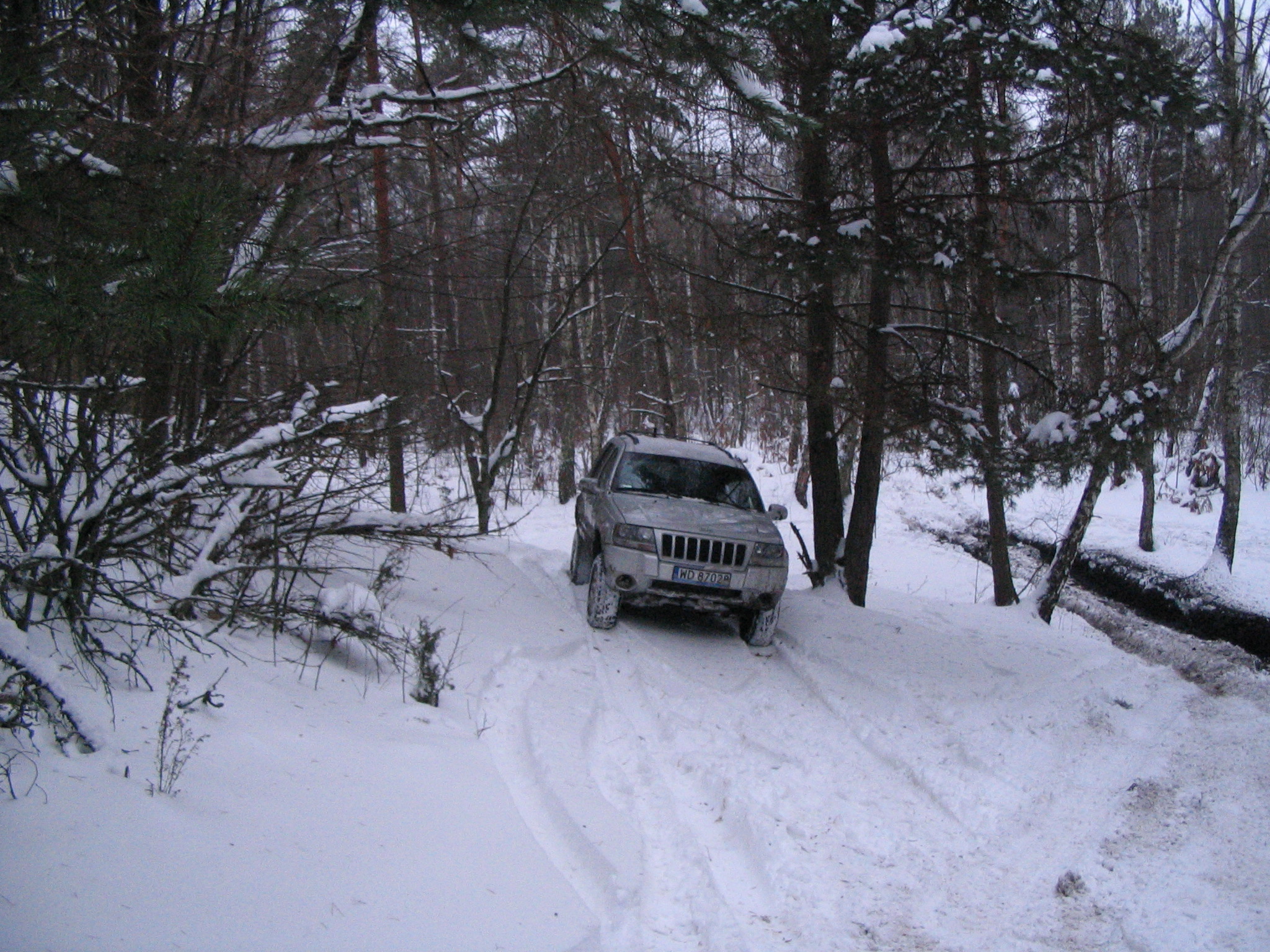 IMG_6172.jpg