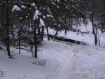 IMG_6178.jpg