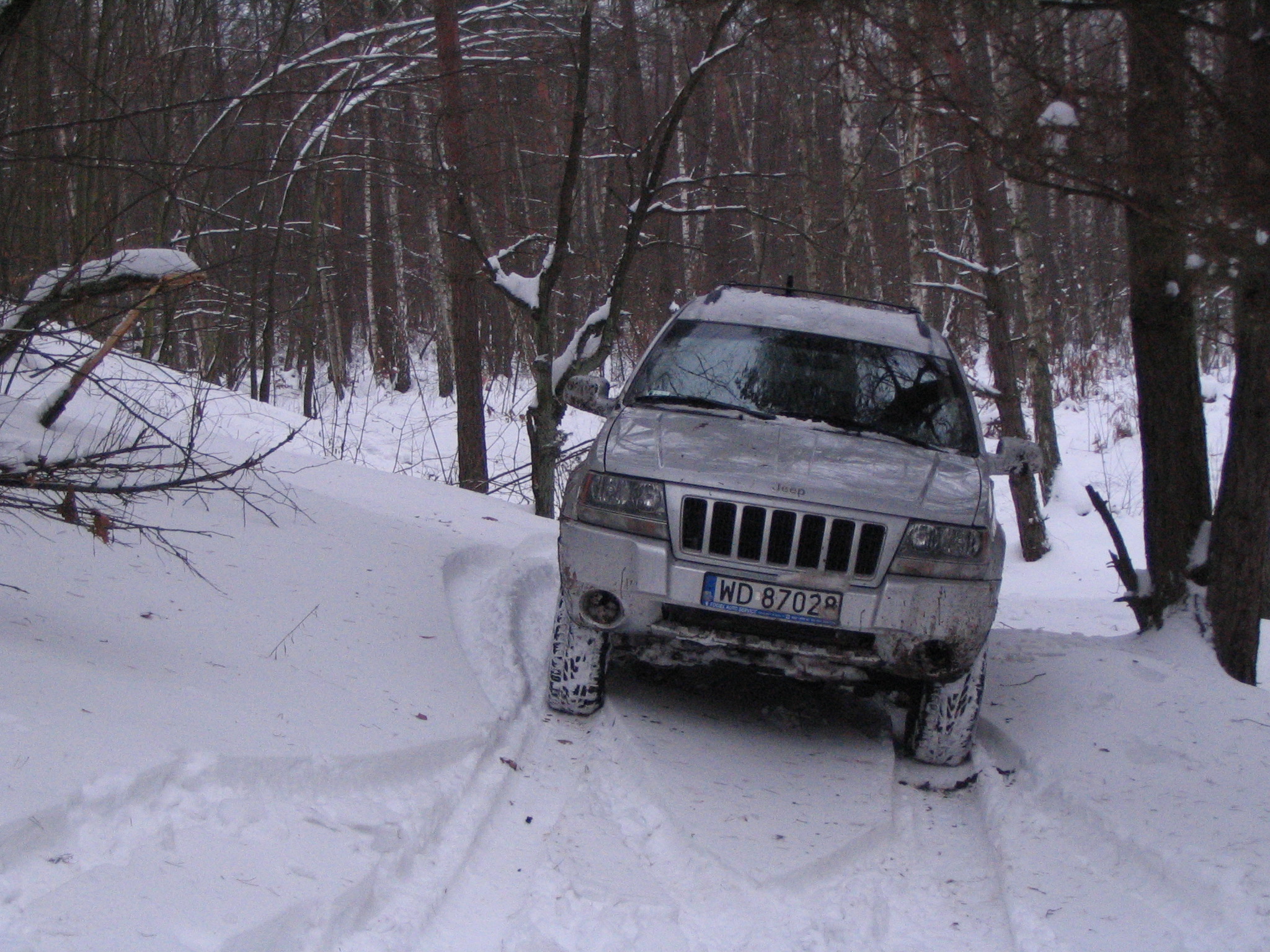 IMG_6179.jpg
