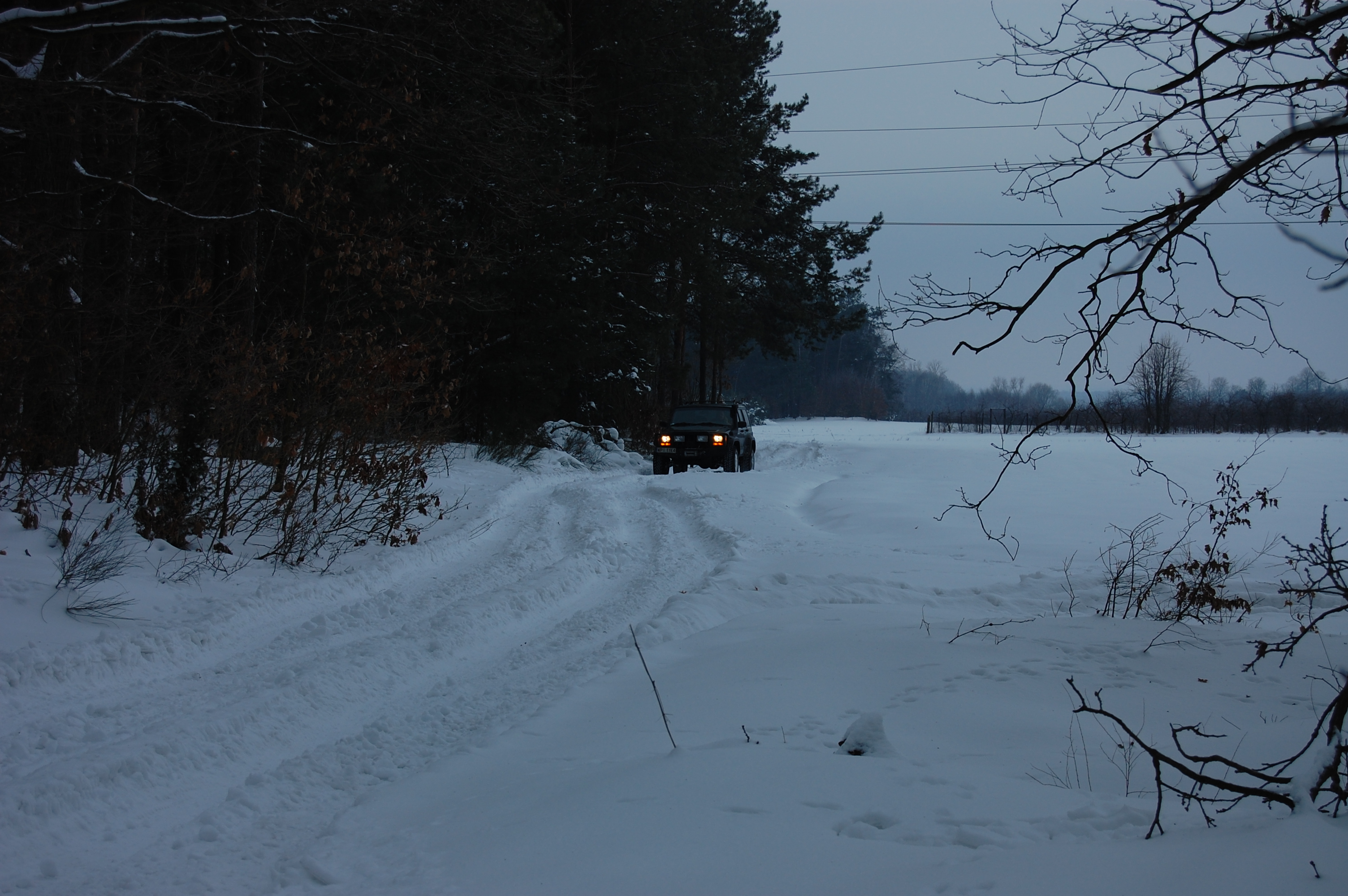 2010-01-17 144047.JPG