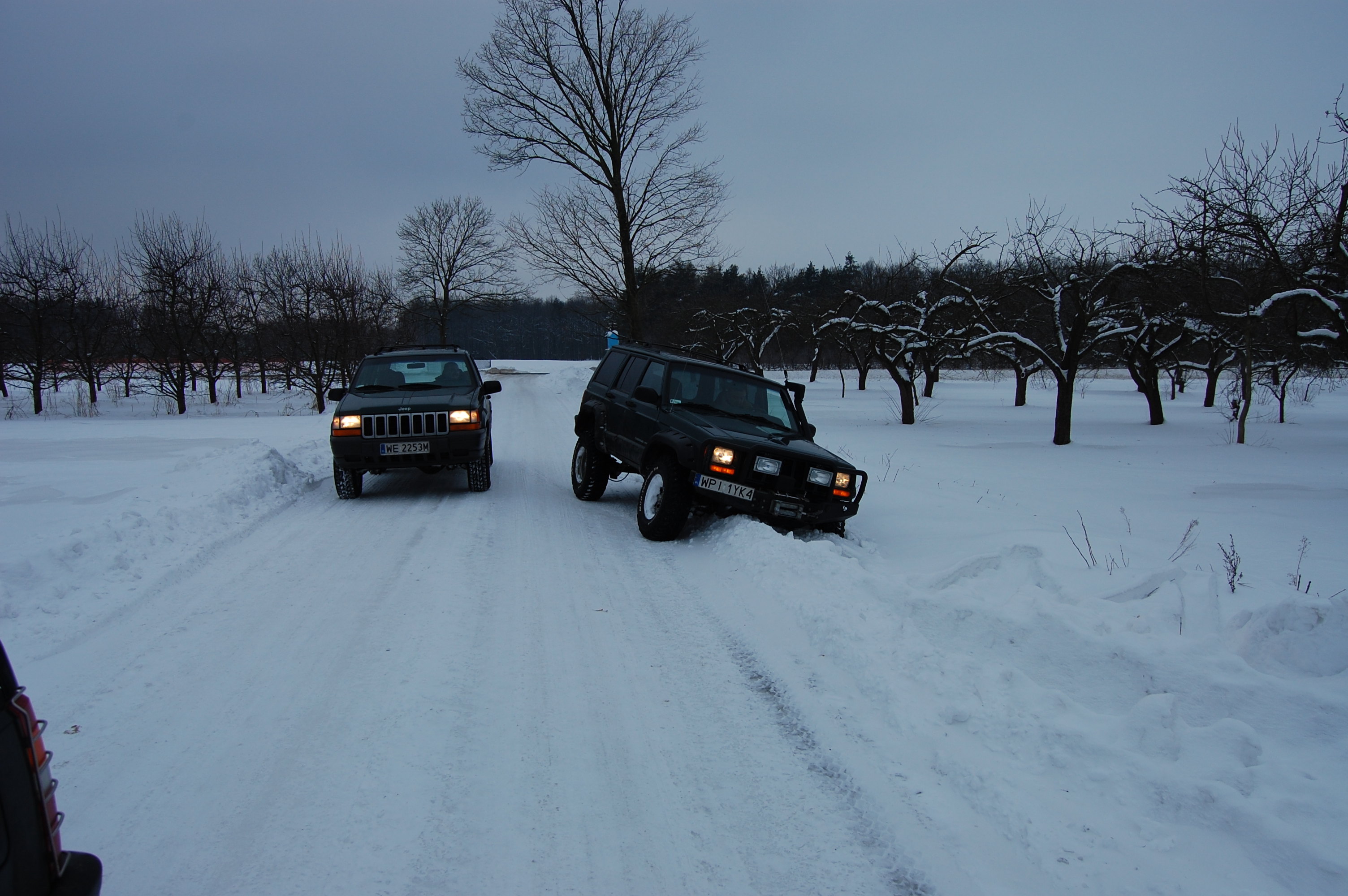2010-01-17 144600.JPG