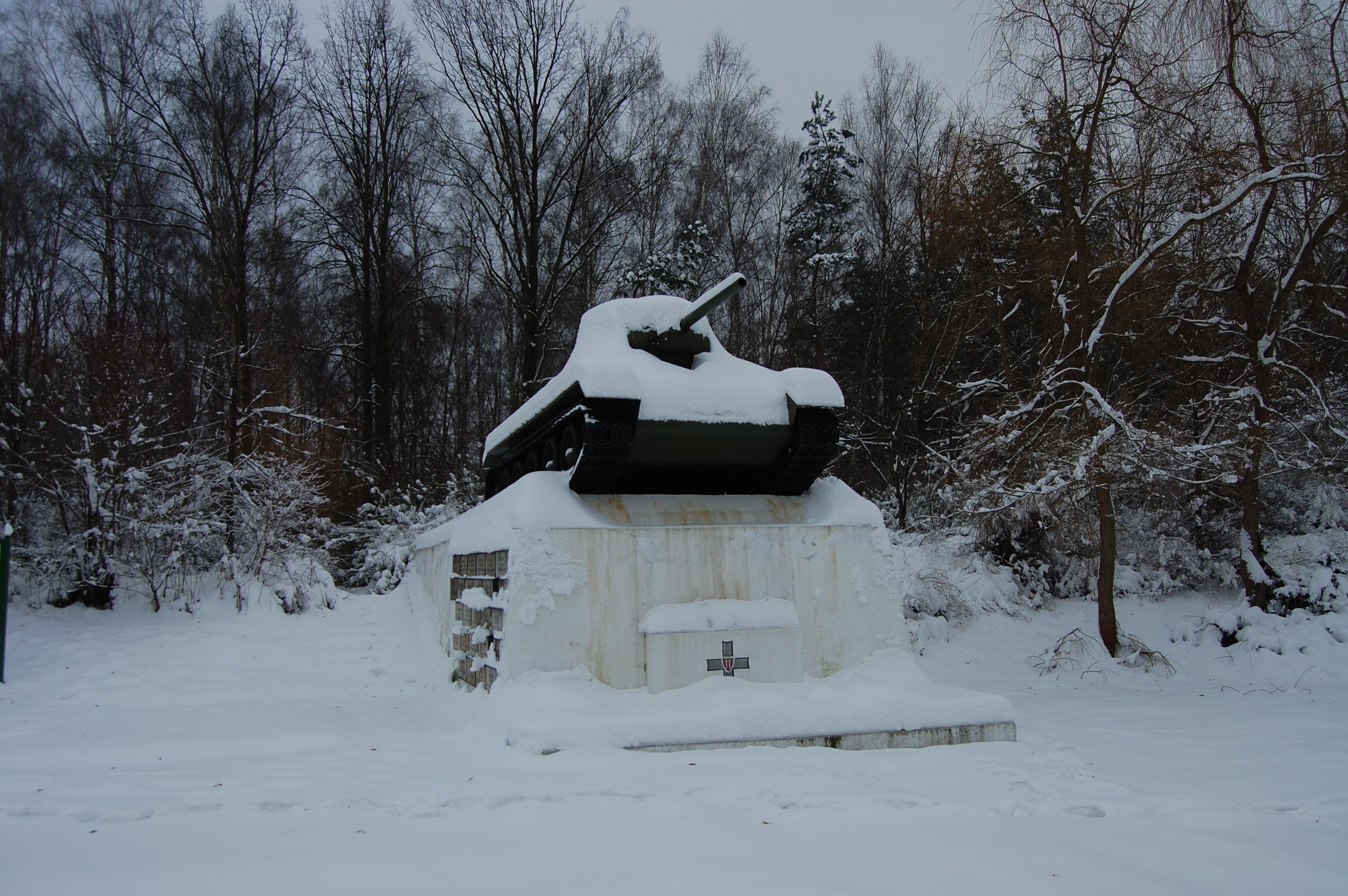 2010-01-17 150910.JPG