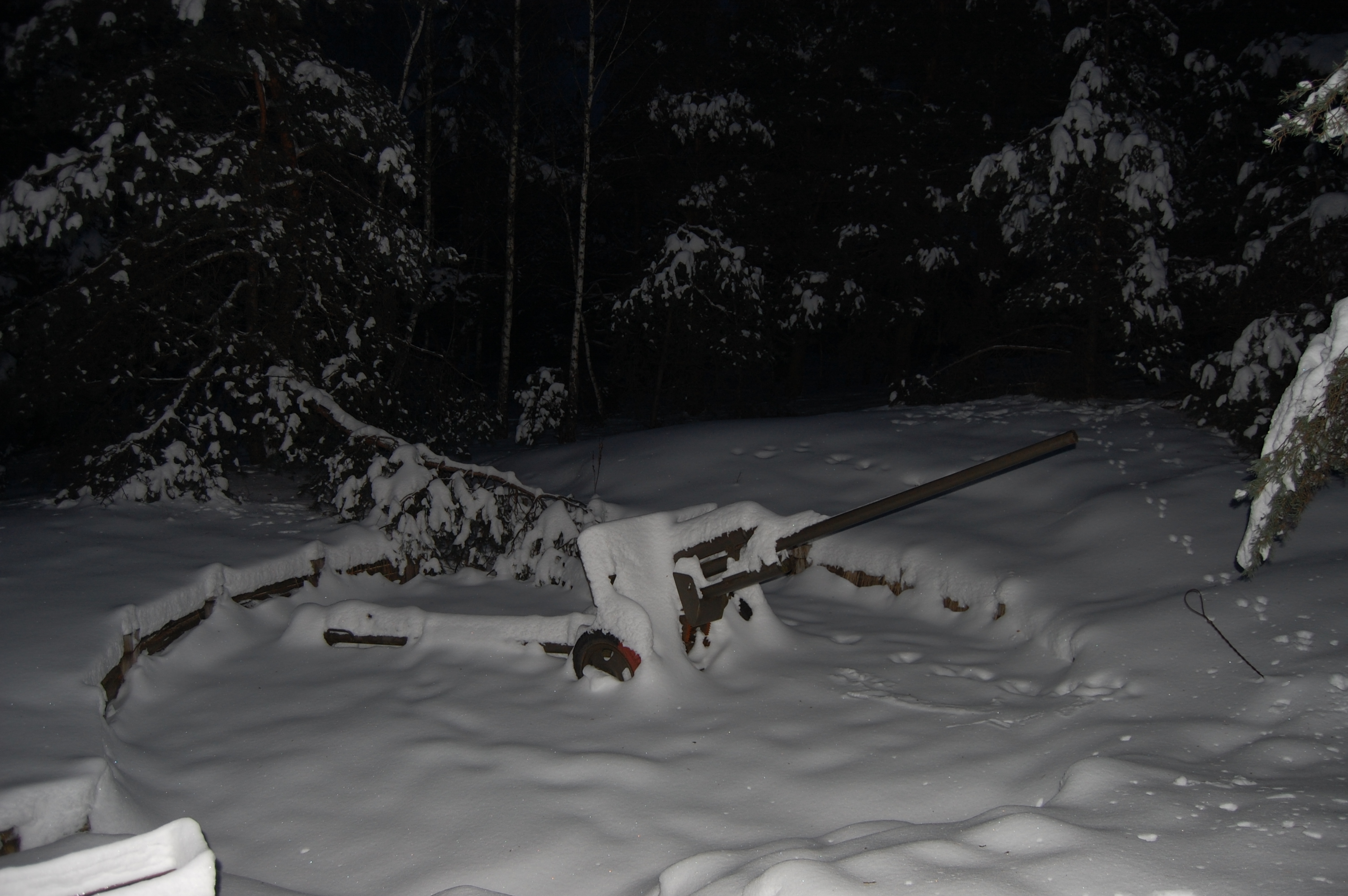 2010-01-17 170126.JPG