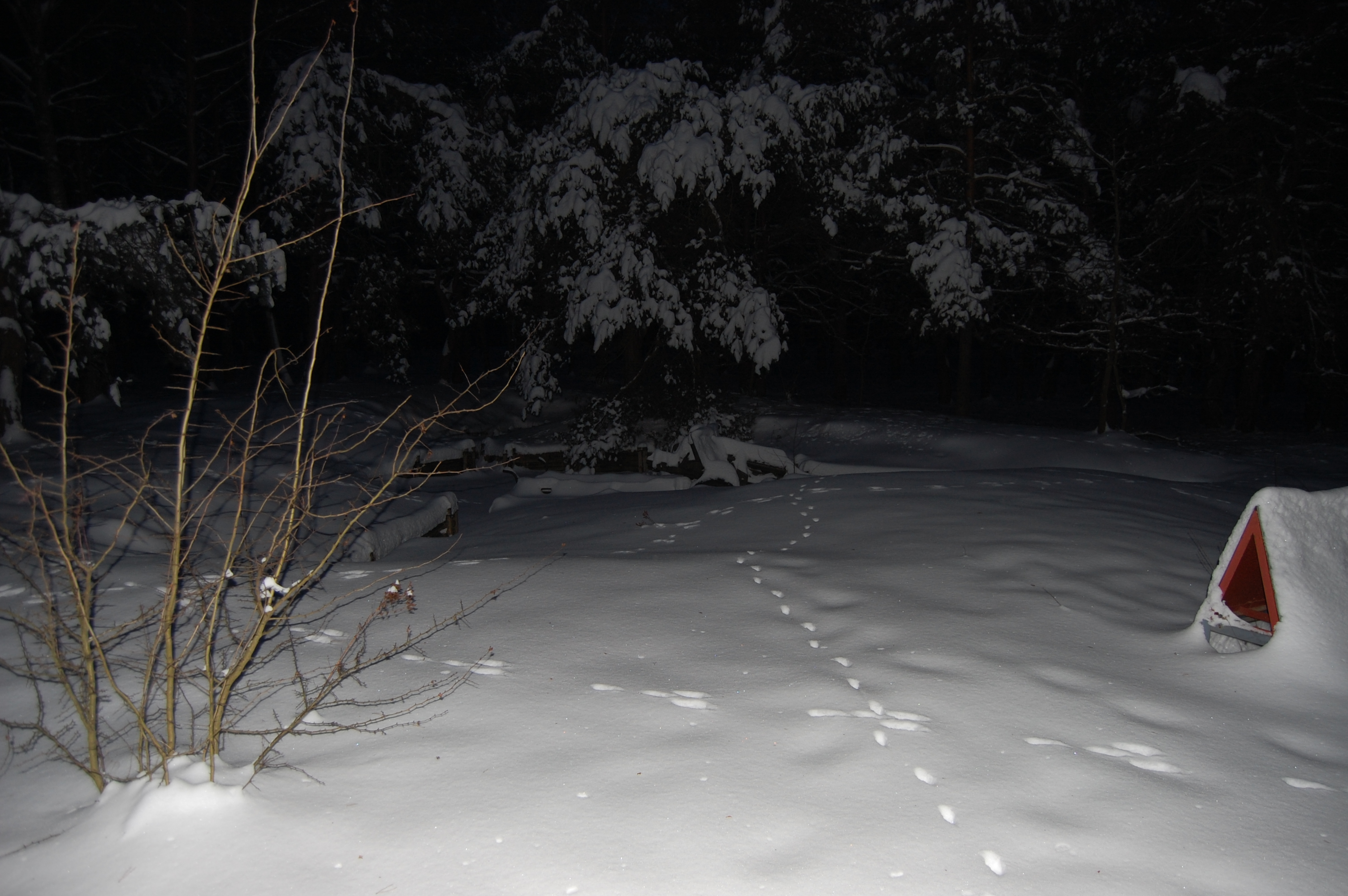 2010-01-17 170236.JPG