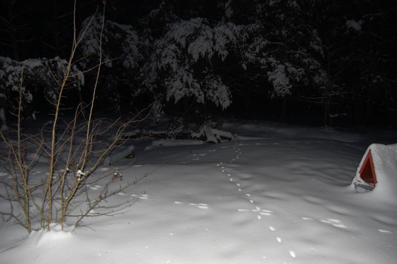 2010-01-17 170236.JPG