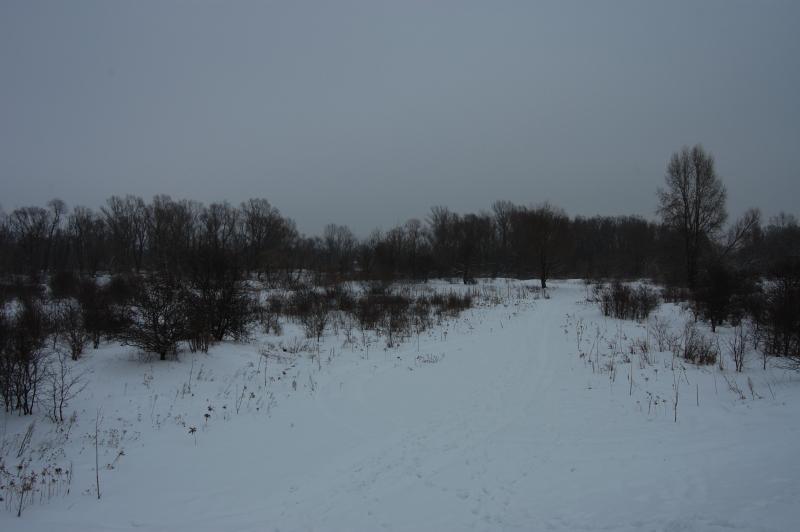 2010-02-13 113742.JPG