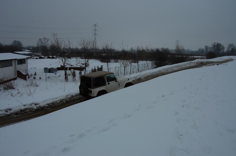 2010-02-13 114137.JPG