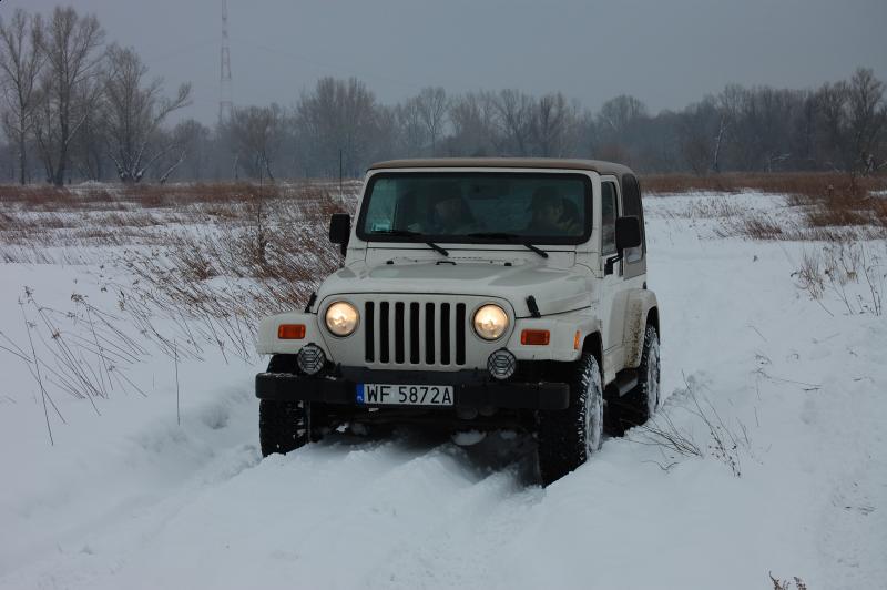 2010-02-13 121215.JPG