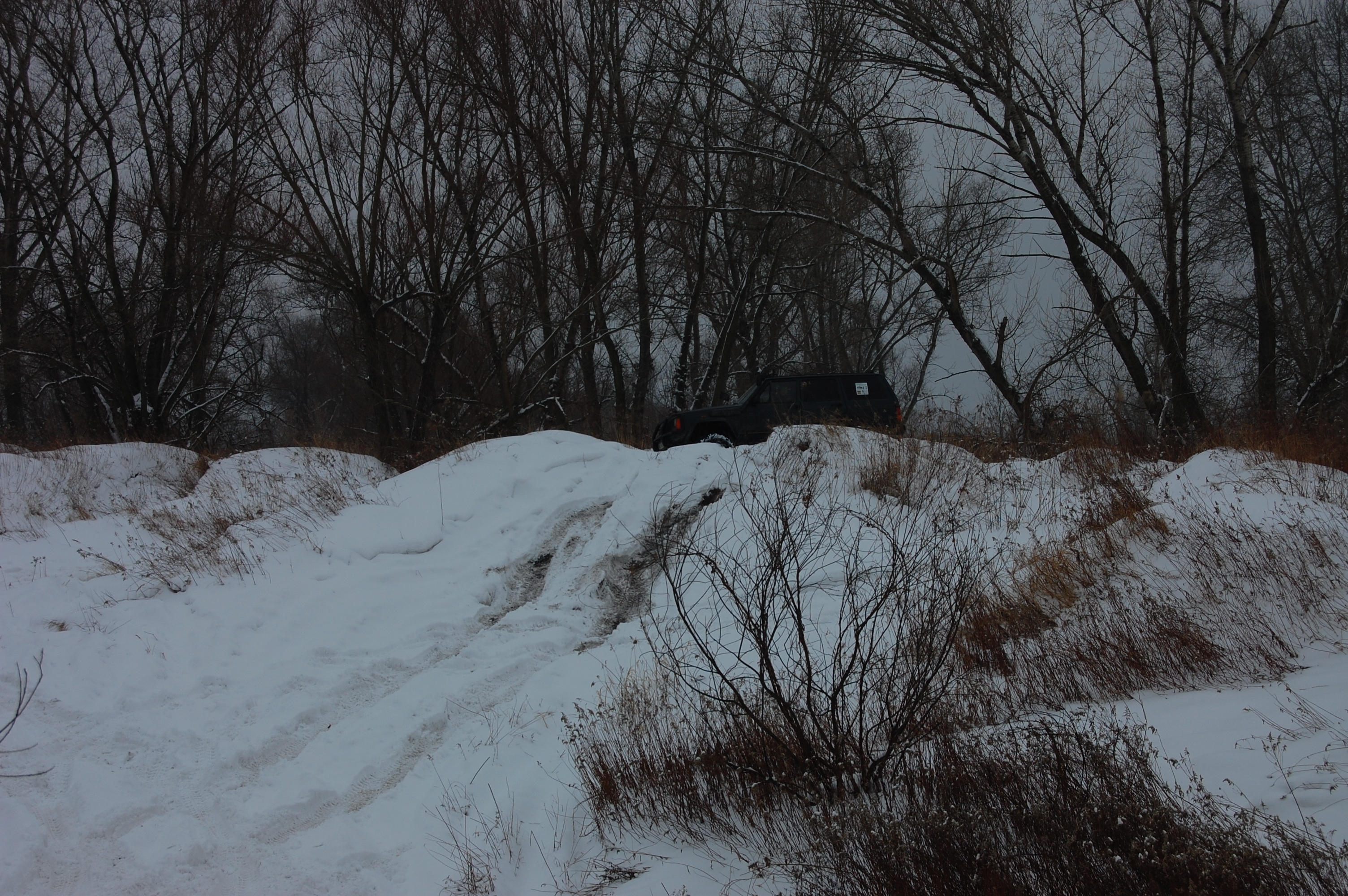 2010-02-13 124832.JPG