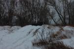 2010-02-13 124834.JPG