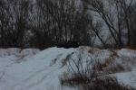 2010-02-13 124835.JPG
