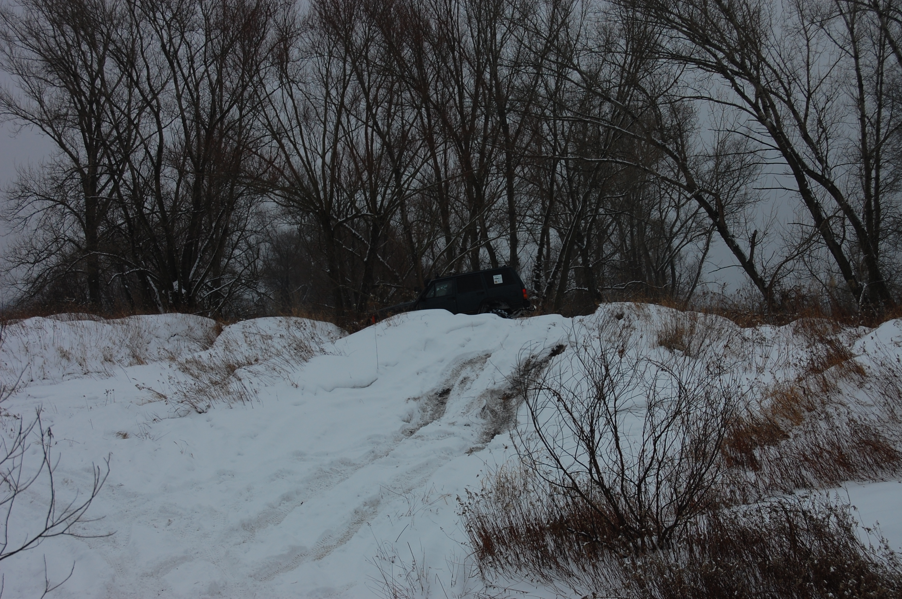 2010-02-13 124840.JPG