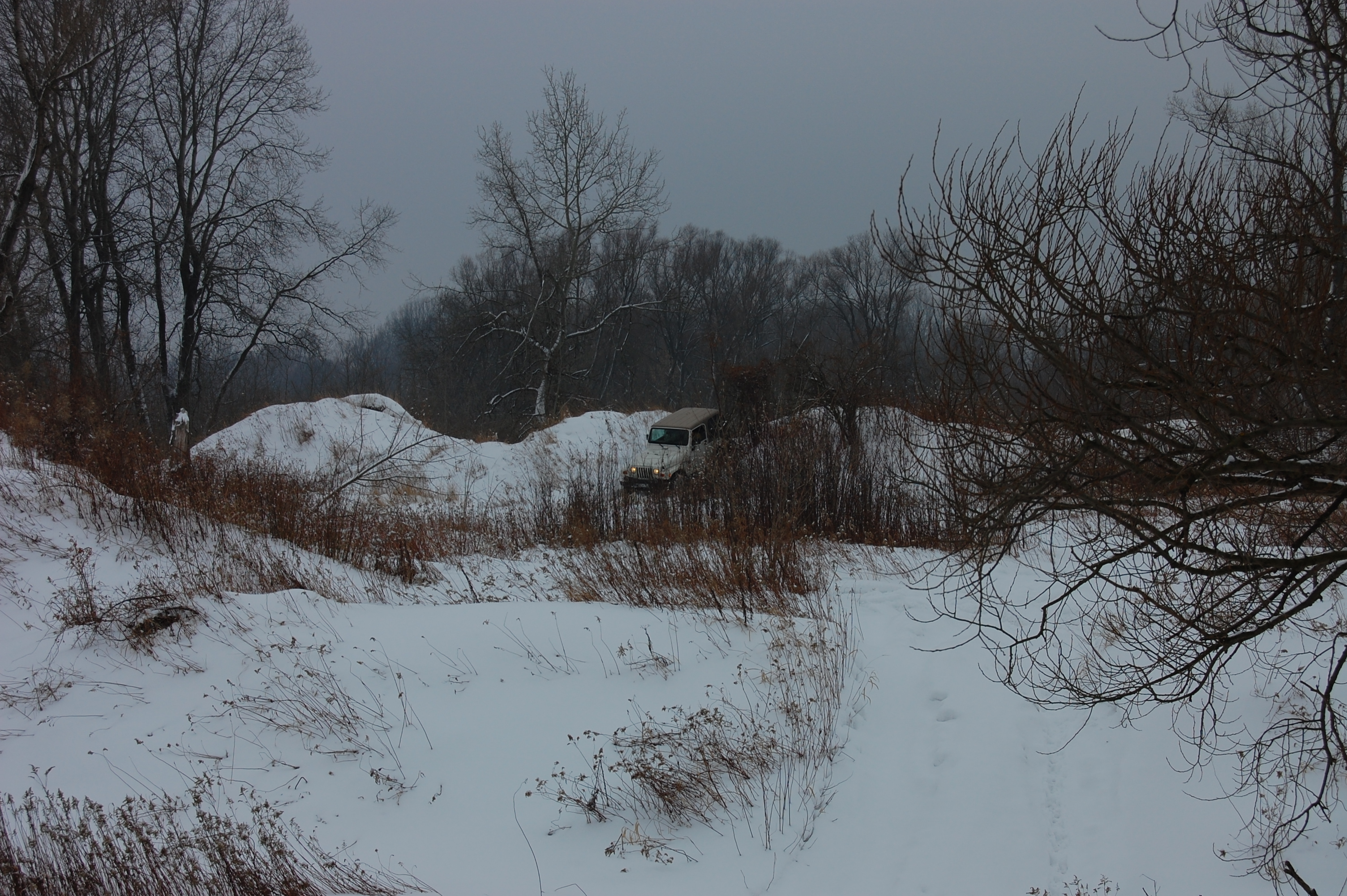 2010-02-13 124856.JPG