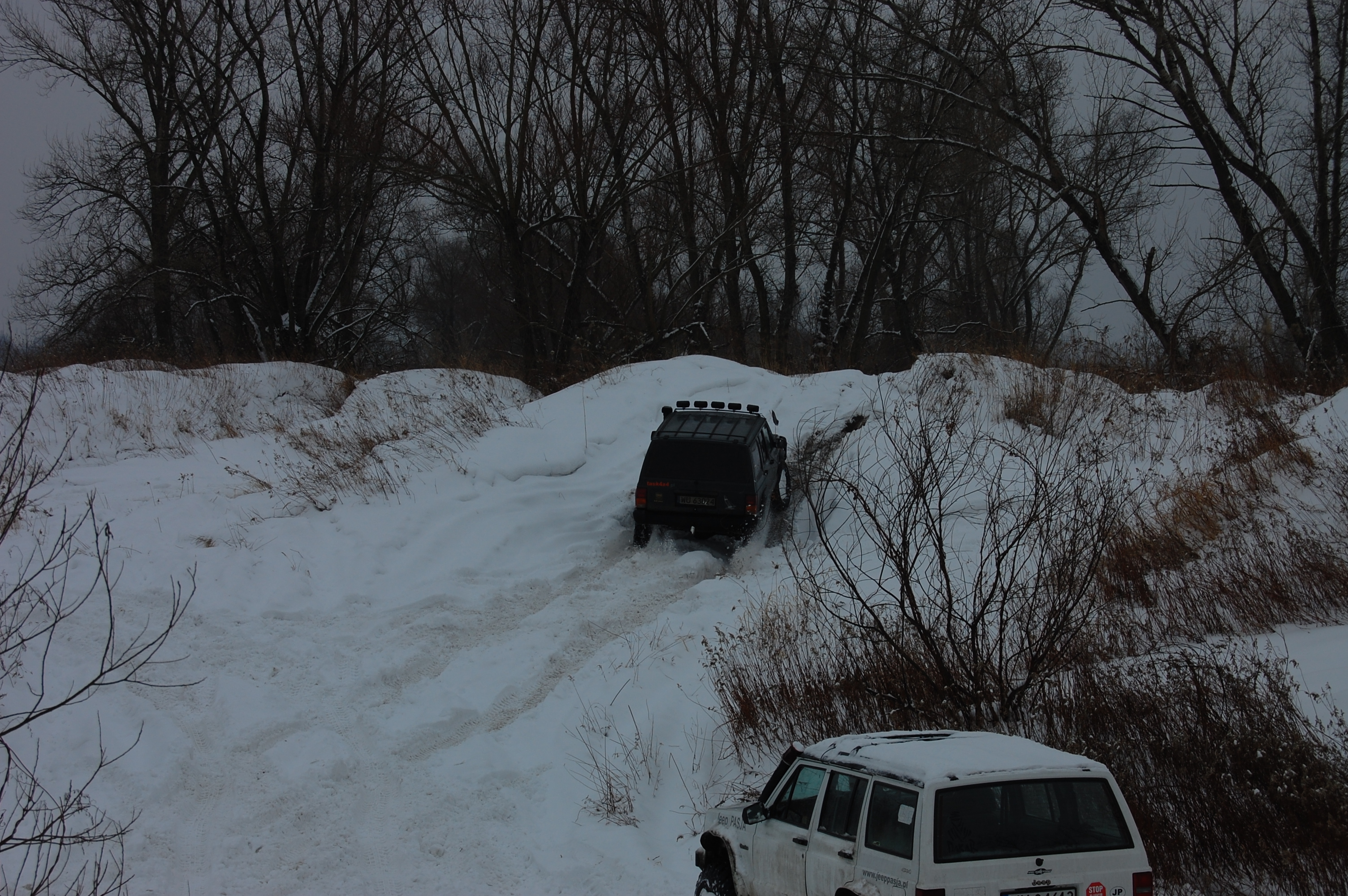 2010-02-13 124915.JPG