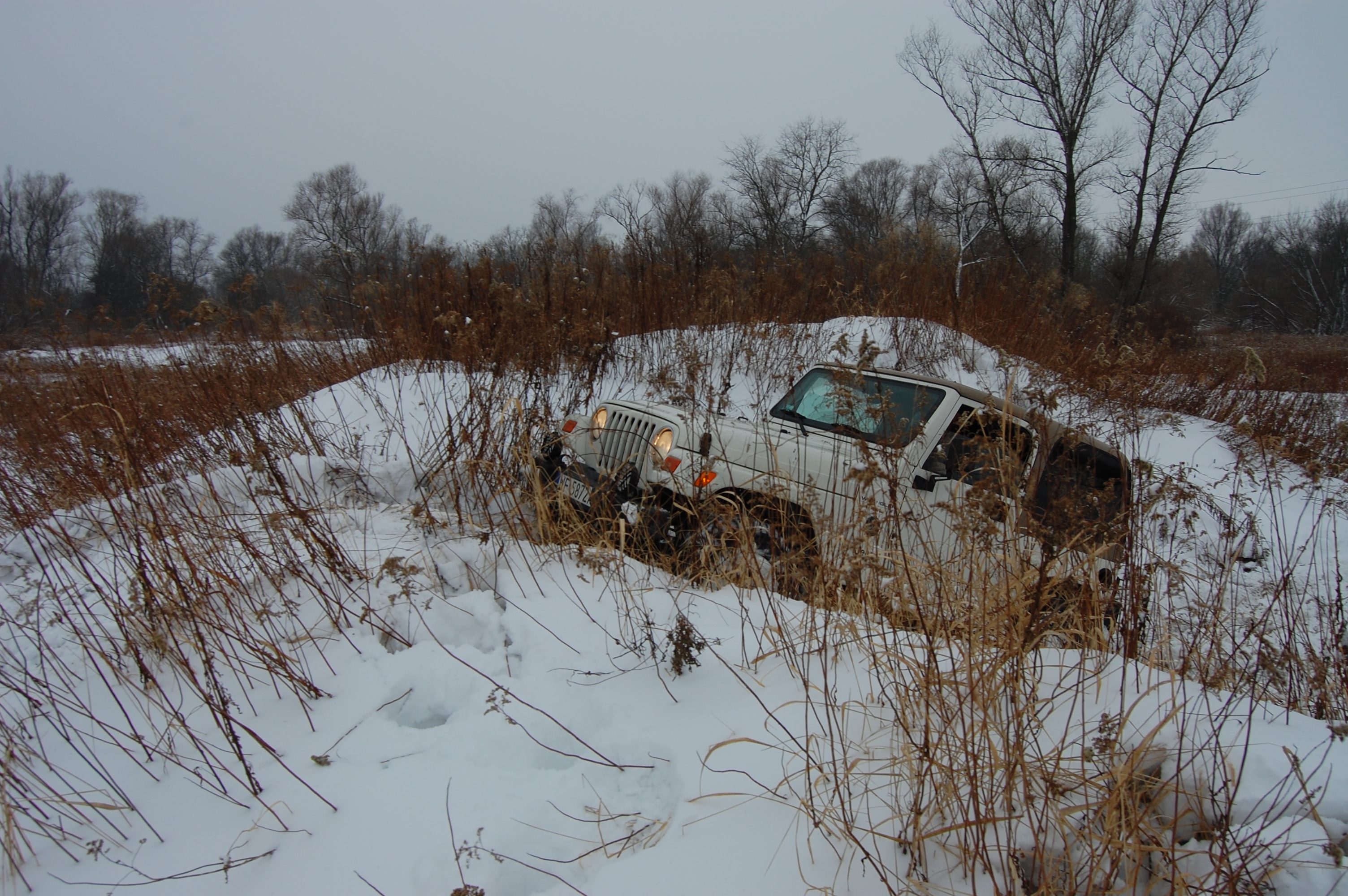 2010-02-13 131933.JPG