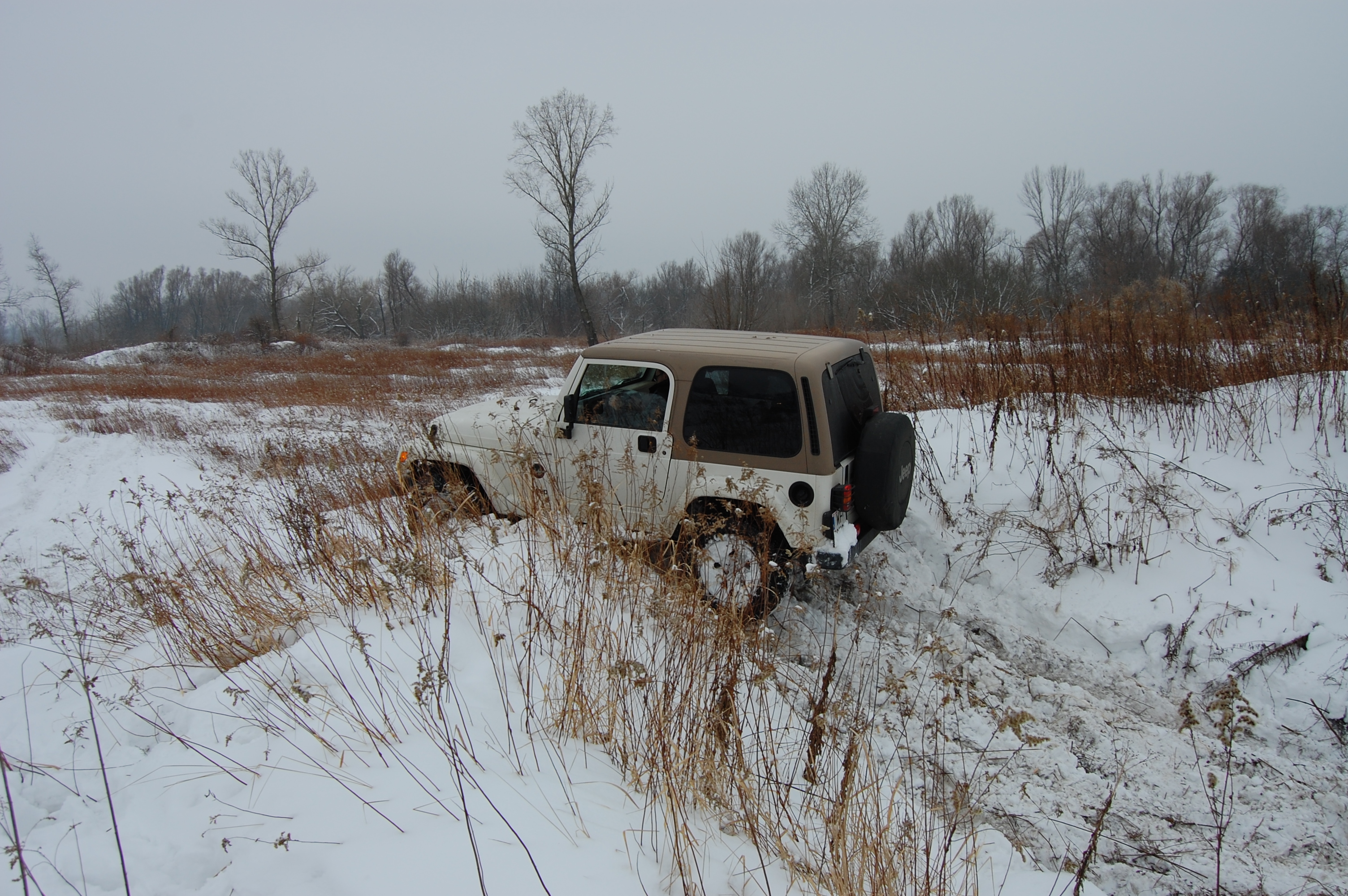 2010-02-13 132013.JPG