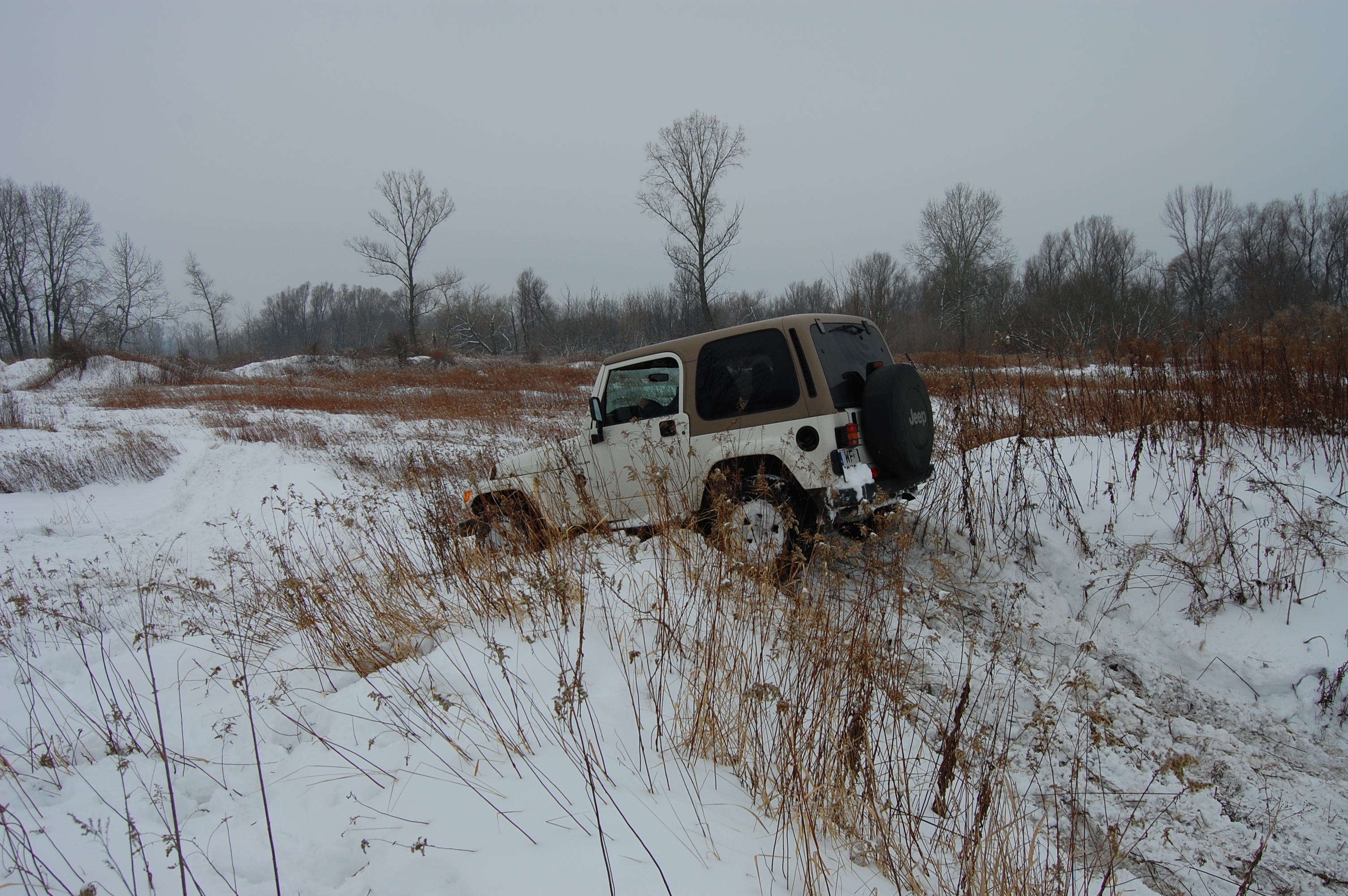 2010-02-13 132015.JPG