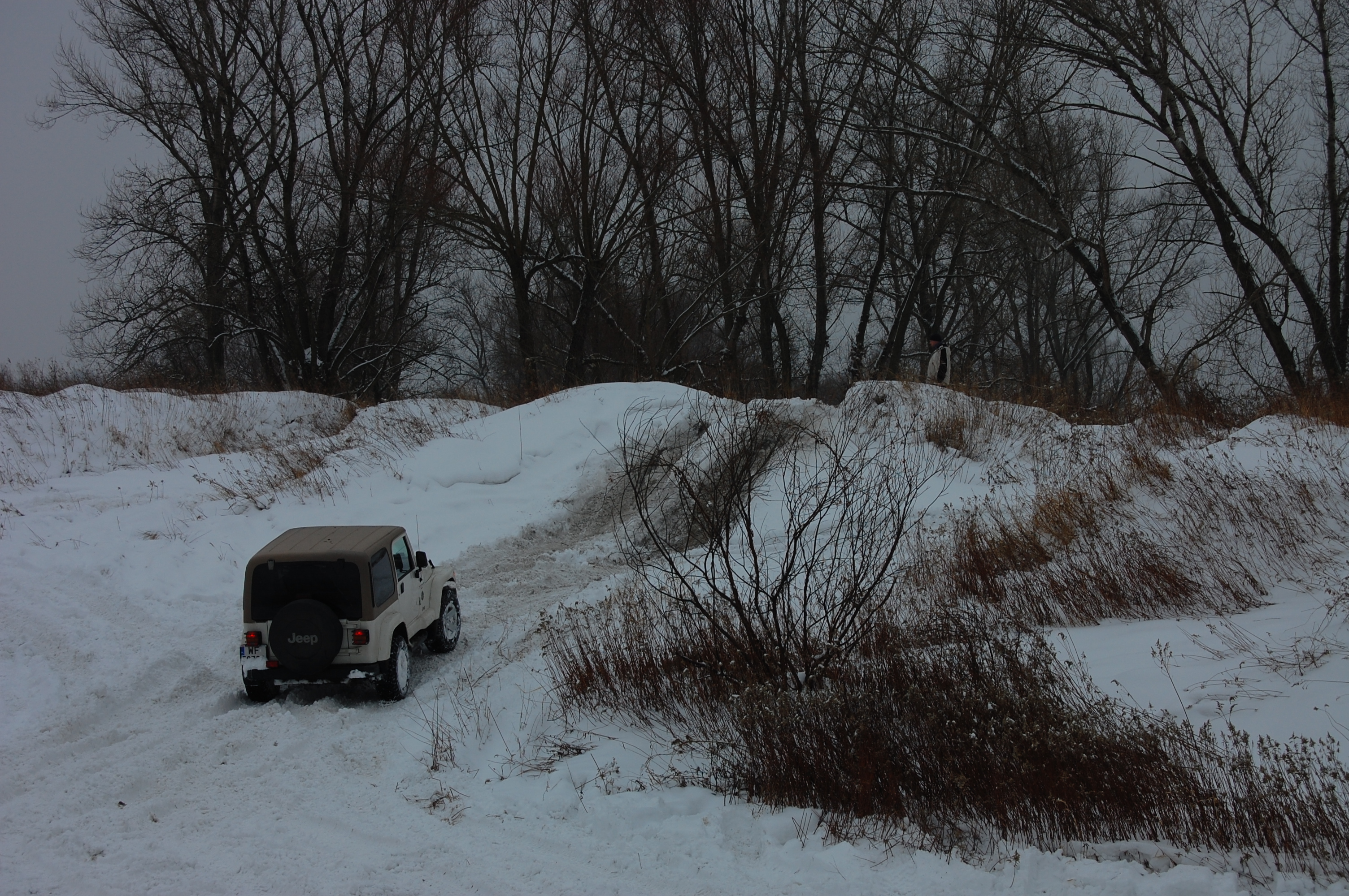 2010-02-13 132958.JPG