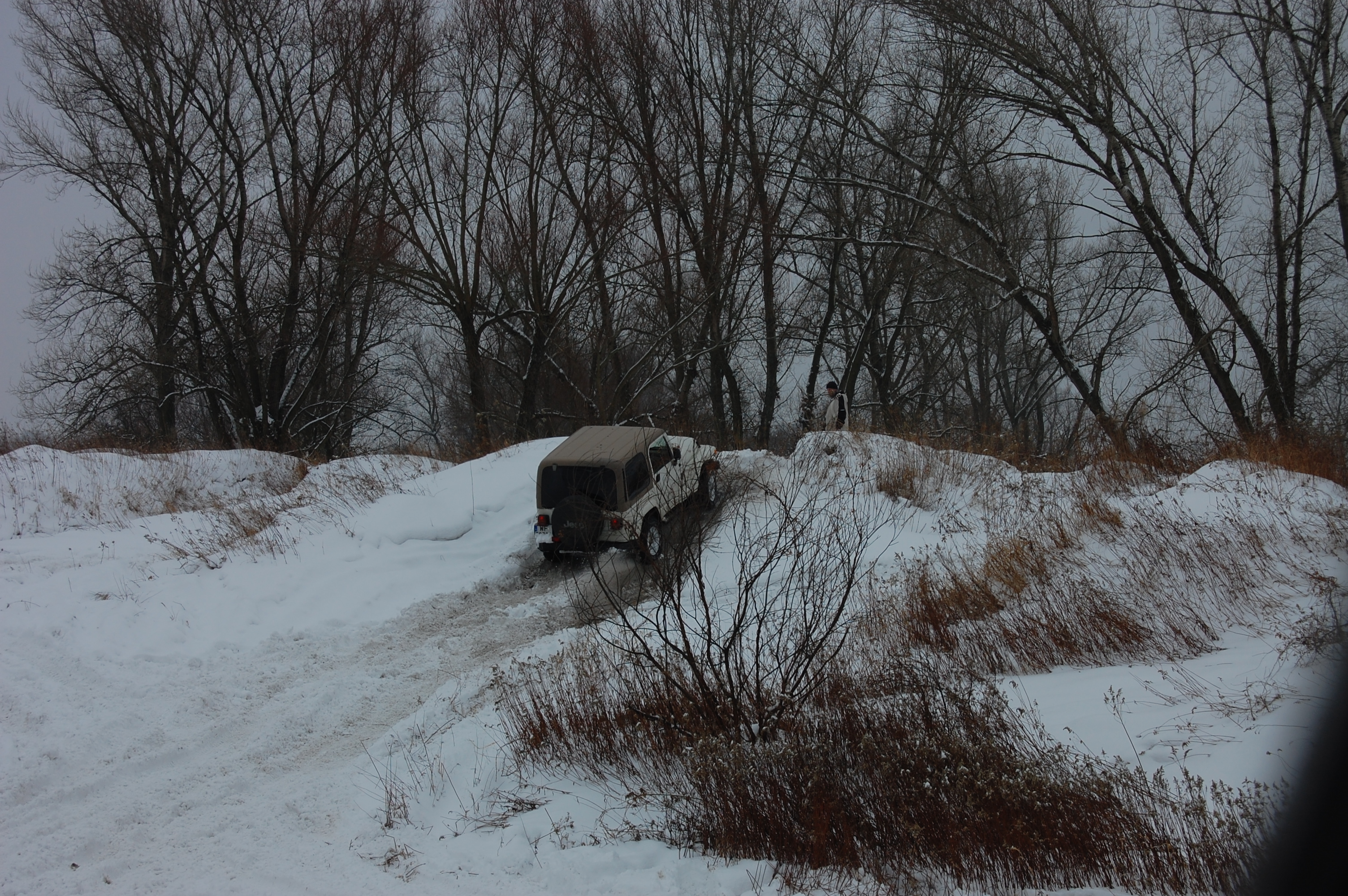 2010-02-13 133027.JPG