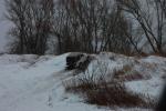2010-02-13 133028.JPG