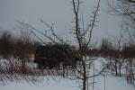 2010-02-13 160224.JPG