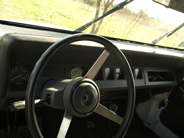 P4253416
