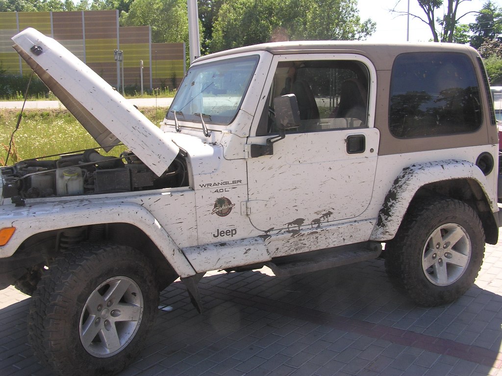 P1011541.JPG
