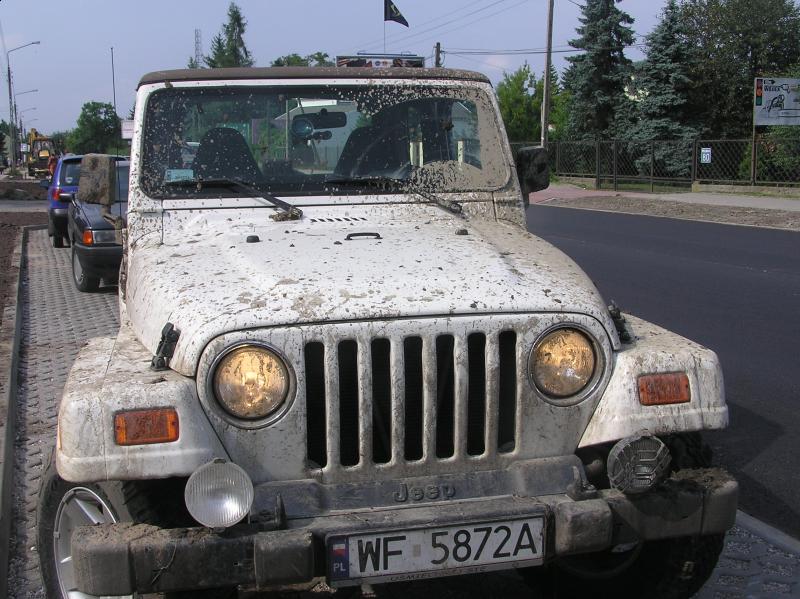 P1011590.JPG