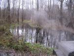 IMG_7534.JPG