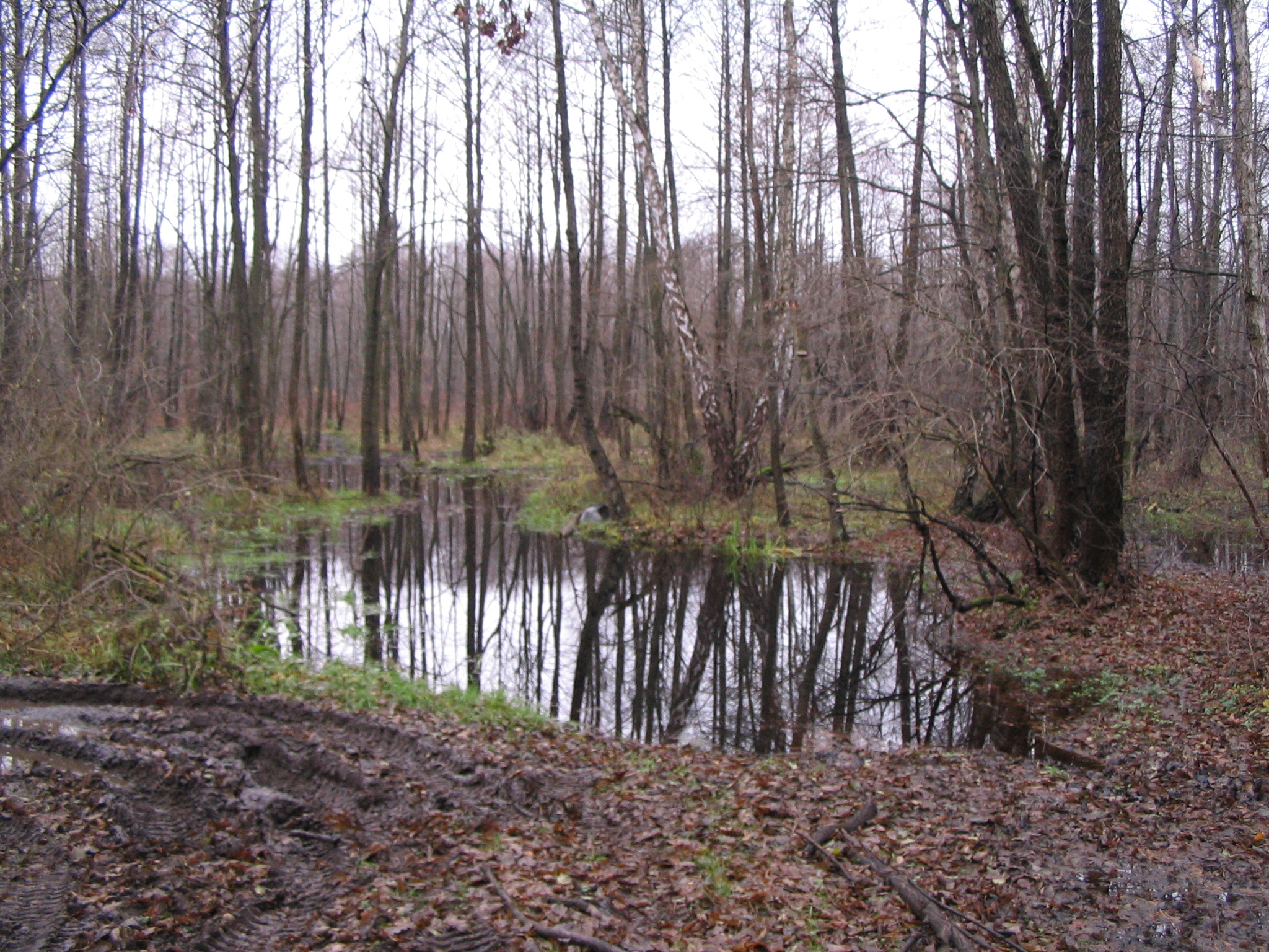 IMG_7538.JPG