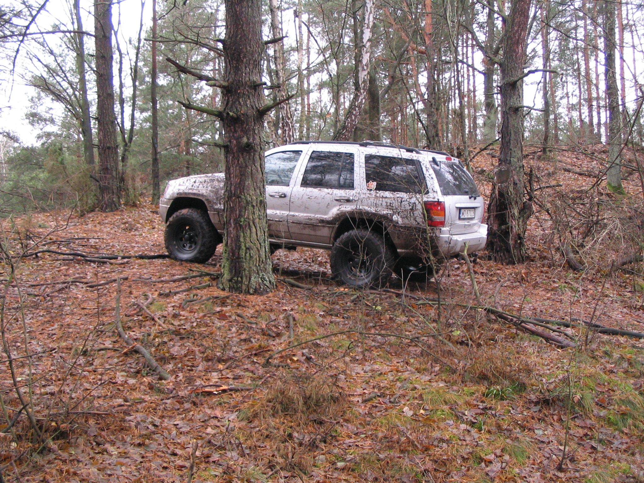 IMG_7539.JPG