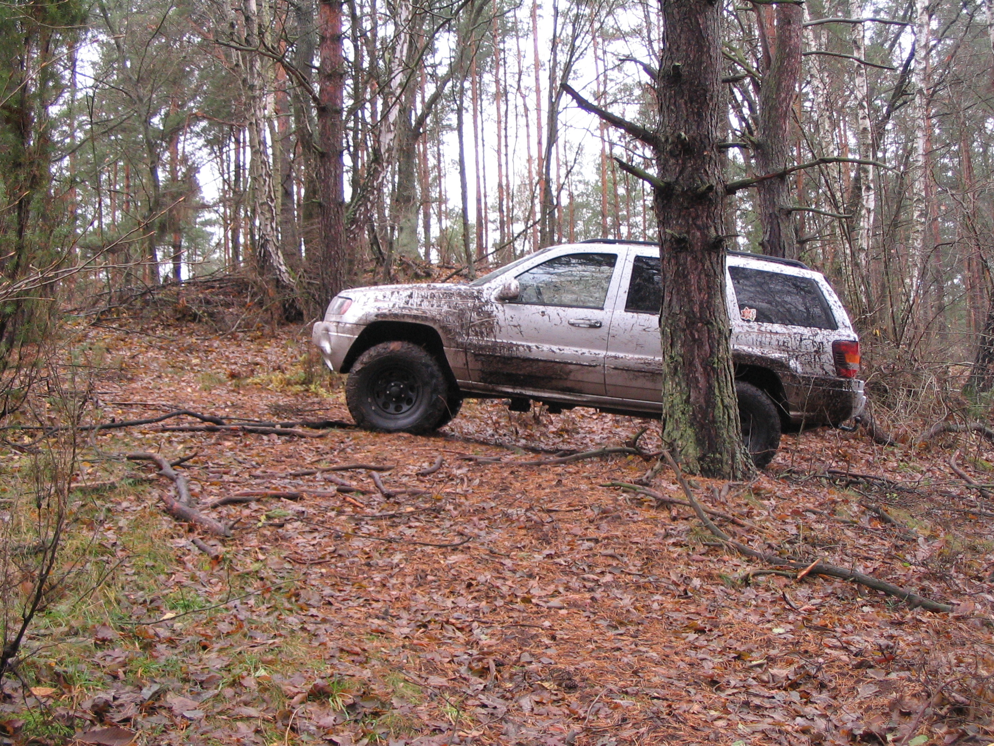 IMG_7540.JPG