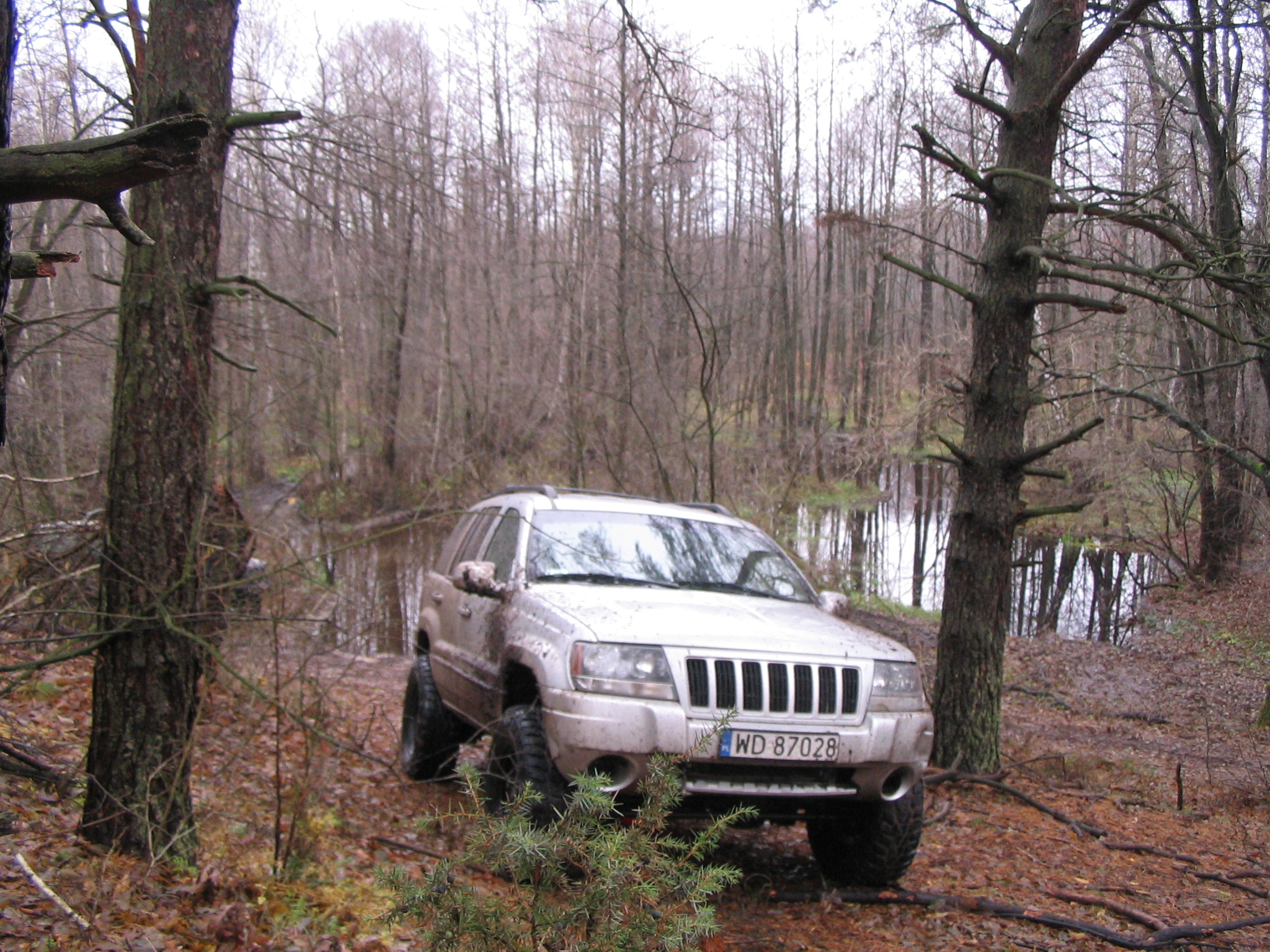 IMG_7542.JPG