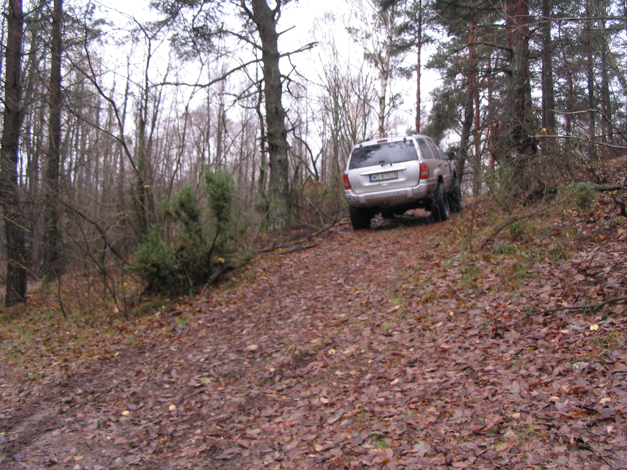 IMG_7546.JPG