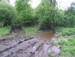 IMG_7831.JPG