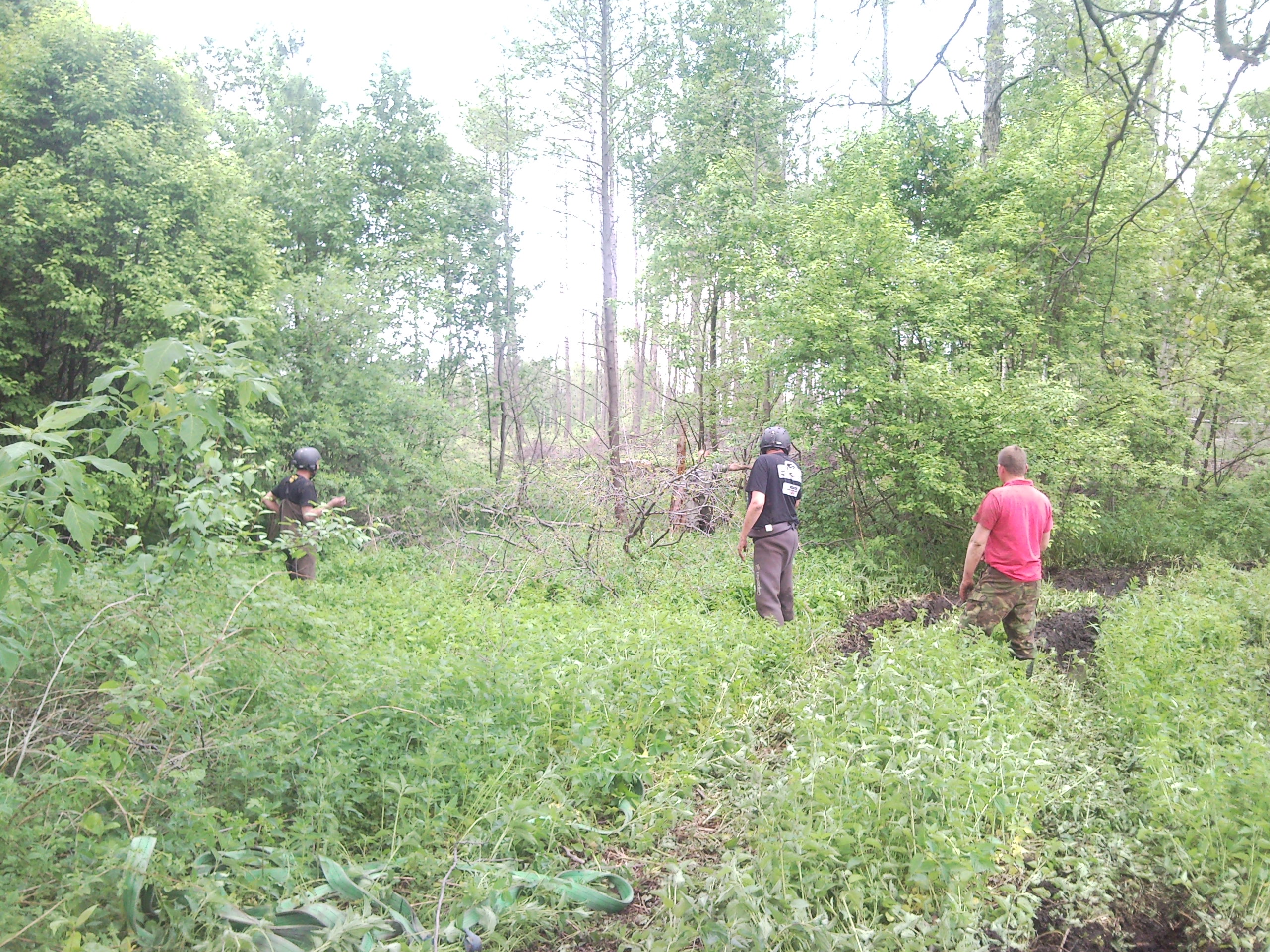 SNC00068.jpg