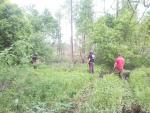 SNC00068.jpg